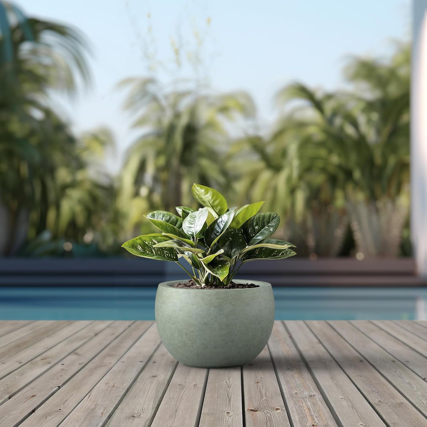 Kante 19.9" Dia Round Concrete Planter, Outdoor/Indoor Large Bowl Plant Pots with Drainage Hole and Rubber Plug for Garden Patio Balcony Home, Mint Green