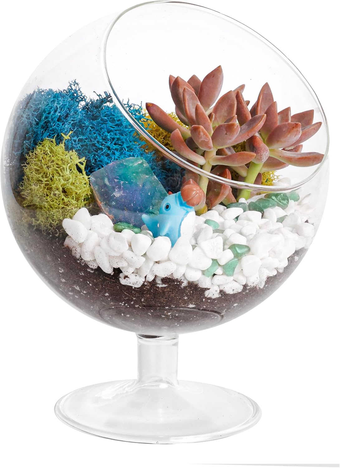 6" DIY Chalice Terrarium Kit with Live Plants - Build Your Own Glass Terrarium for Adults & Kids with Moss, Crystals, Soil, Tools & Figurine - Mini Ecosystem - Made in The USA