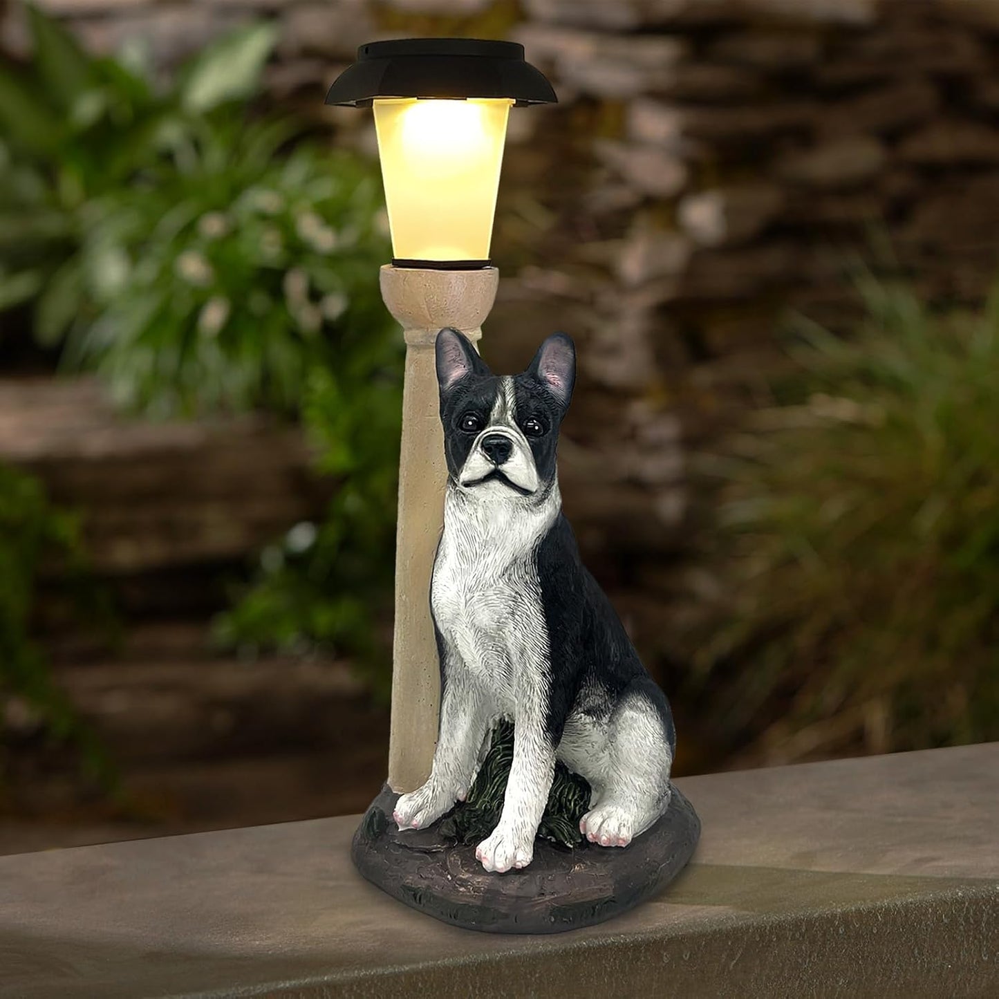Solar Dog Garden Statues with Lantern, Resin Boston Terrier Sculpture with Warm White Light for Outside Lawn Porch Patio