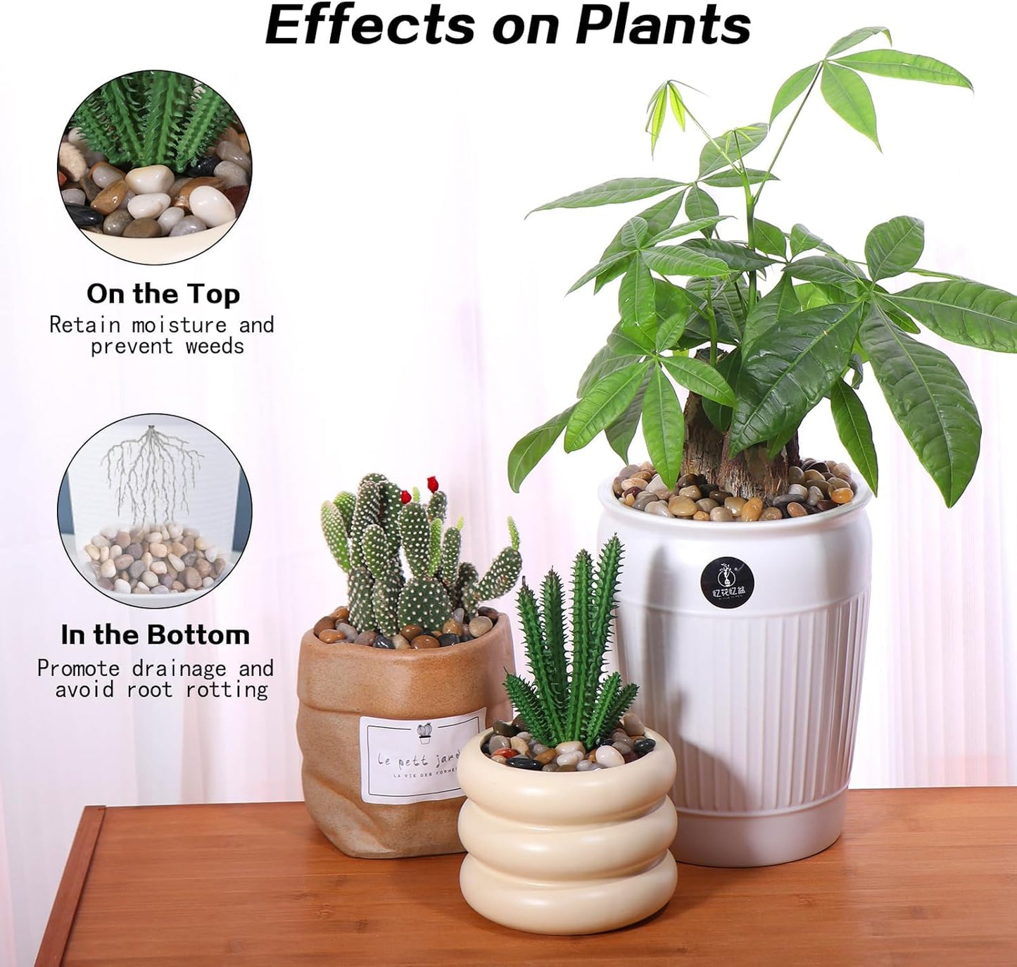 10lbs Rocks for Plants Indoor, 3/8 Inch Small Pebbles for Plants, Aquariums, Bamboo, Vase, Succulent, Outdoor Landscaping, Decorative Plant Rocks for Pots Indoor, Polished Mixed Color