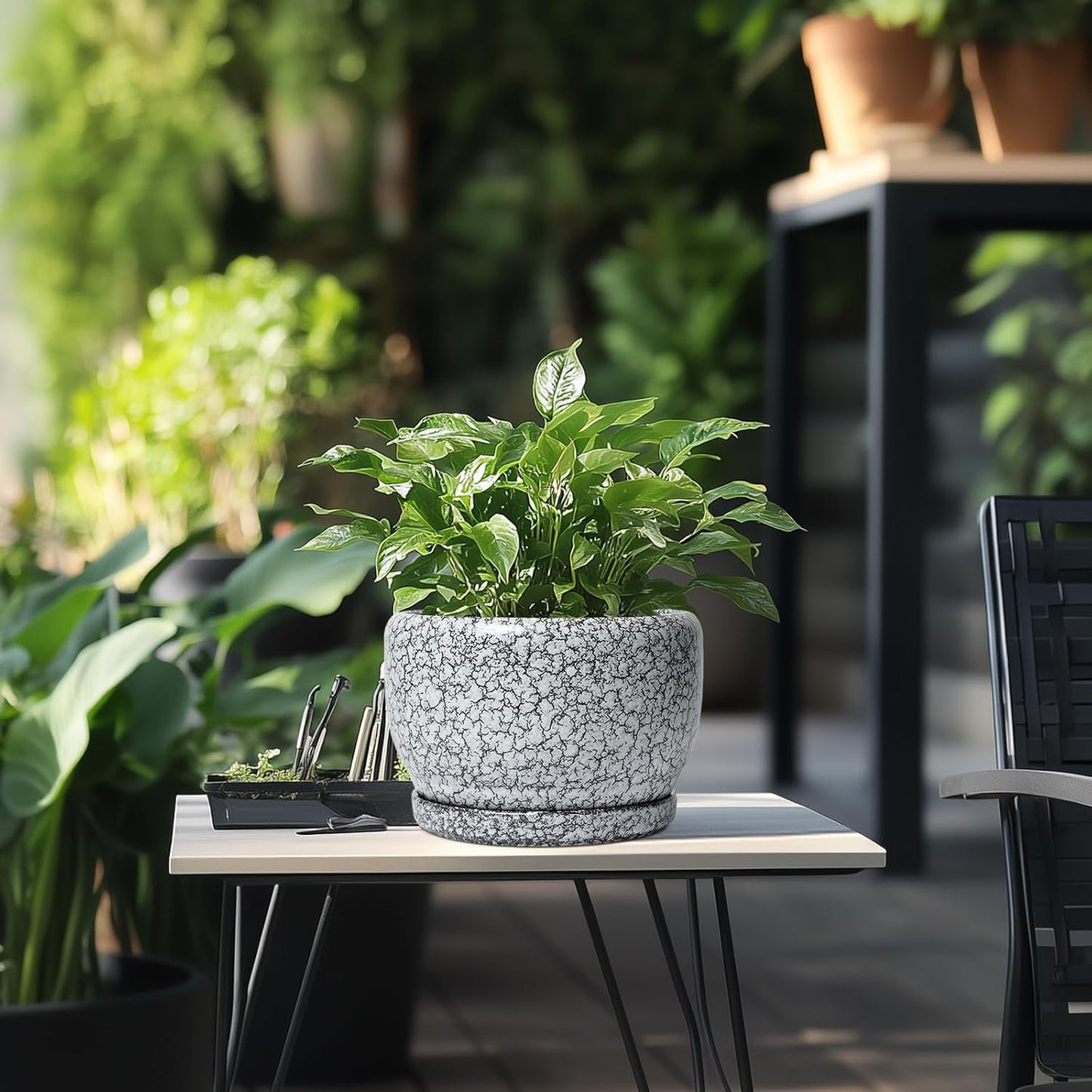 SQOWL 8 inch Plant Pot - Ceramic Planter with Drainage Hole and Saucer, Round Flower Pot for Indoor Plants, Decorative Planter Outdoor, Patio Balcony Decor, House Warming Gifts, Black and White