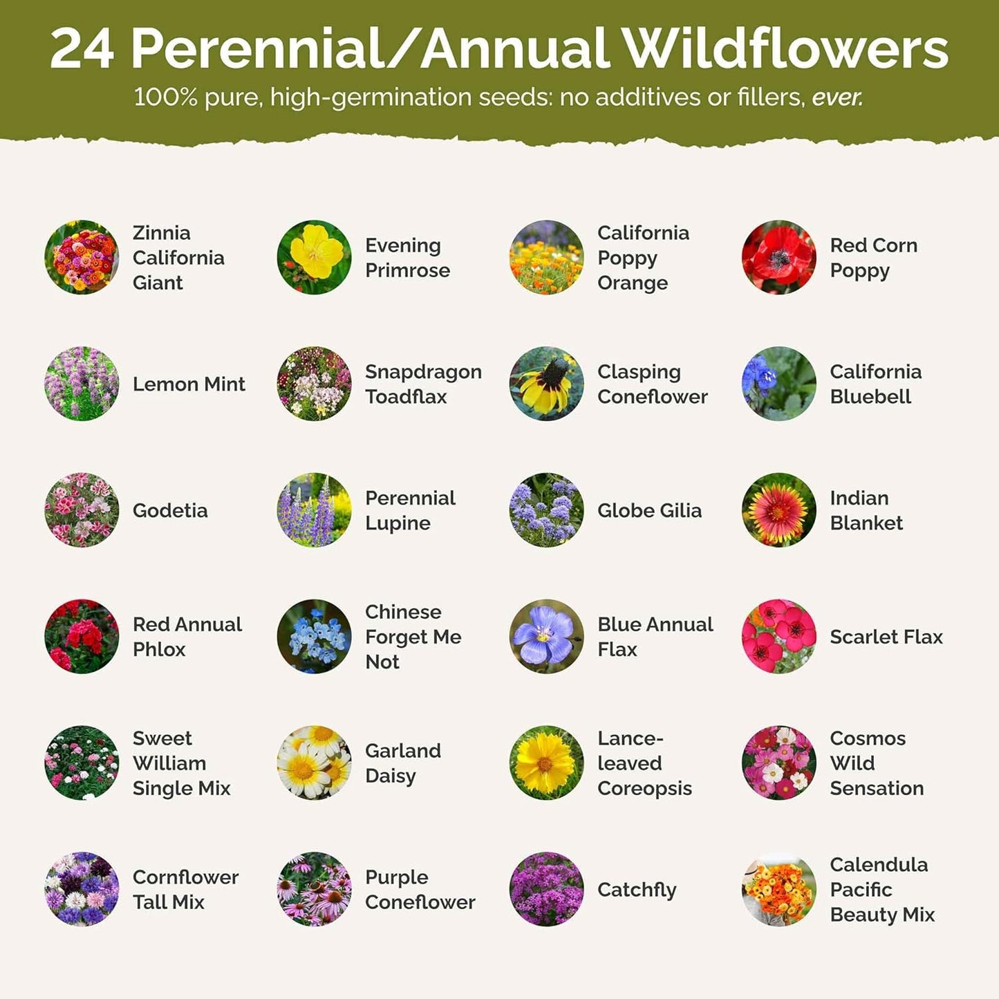Eden Brothers Heirloom Flower Mixed Seeds for Planting, 1/4 lb, 120,000+ Seeds with Zinnia, Toadflax, Evening Primrose | Attracts Pollinators, Plant in Spring or Fall, Zones 3, 4, 5, 6, 7, 8, 9, 10