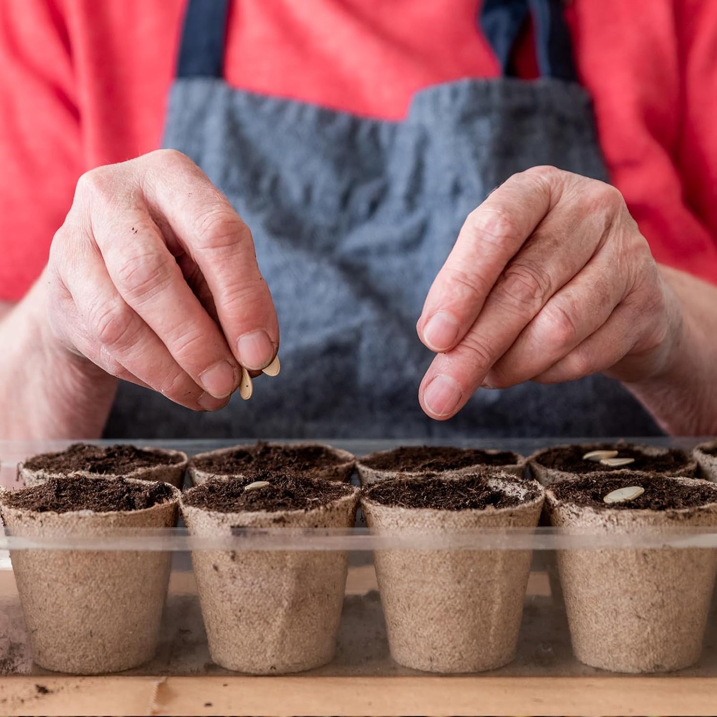 Sphagnum Peat Moss for Plants 4qt, Organic Garden Growing Soil Amendment and Media for Flowers, Vegetables, Herbs, Orchid, Indoor Houseplant