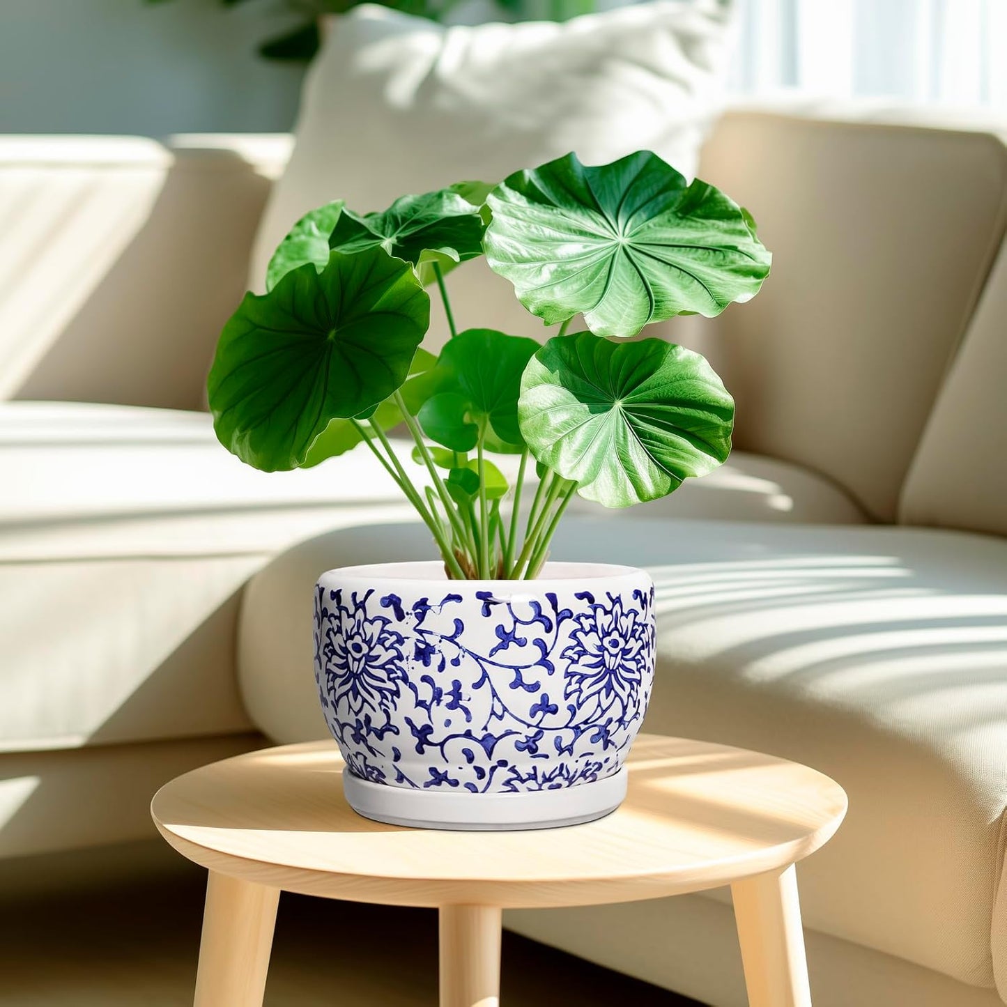 SQOWL Ceramic Pots for Plants - 8 inch Ceramic Planter with Drainage Hole and Saucer, Round Flower Pots for Indoor Plants, Porcelain Planter Outdoor, Porch Decor, Gifts for Women Men, Blue and White