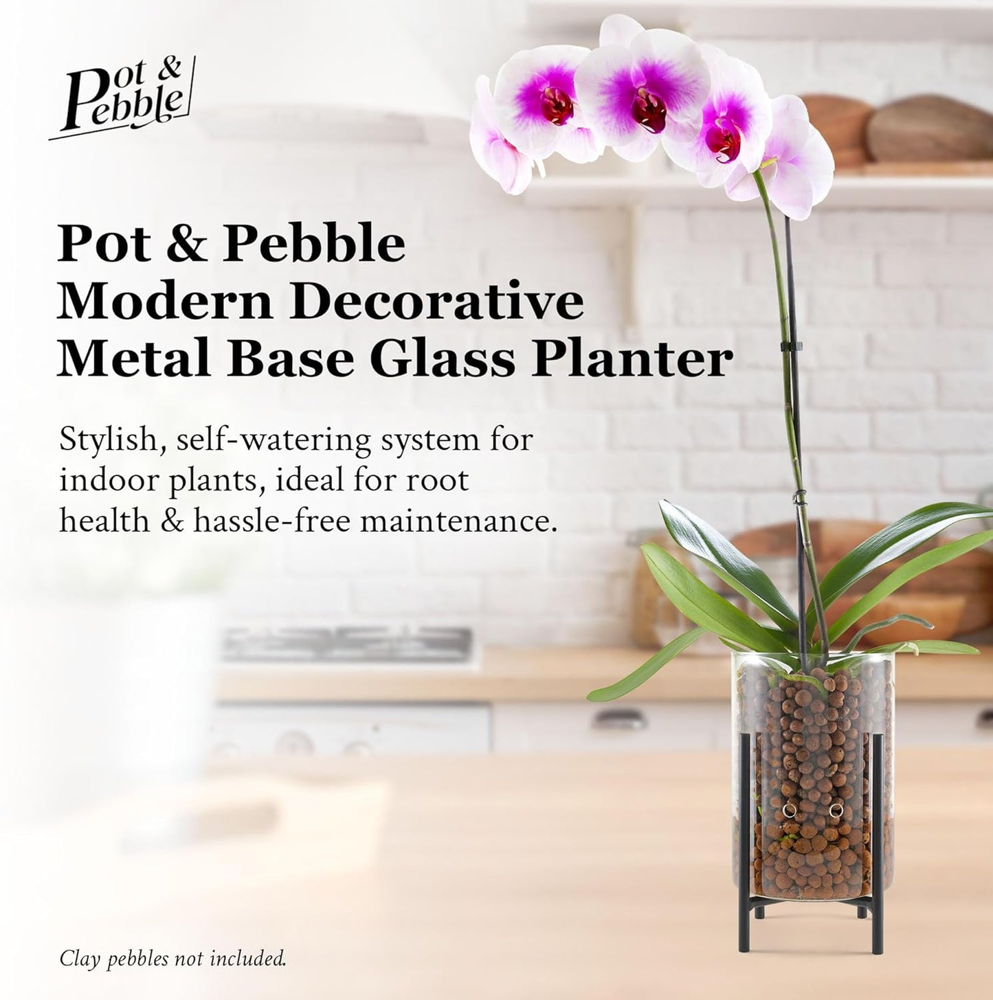Pot & Pebble - C8 Glass Planter with Decorative Metal Base - Plant Propagation Station with Water Level Control - Plant Cutting Holder for LECA Clay Pebbles/Similar Media - Semi Hydroponic Planter