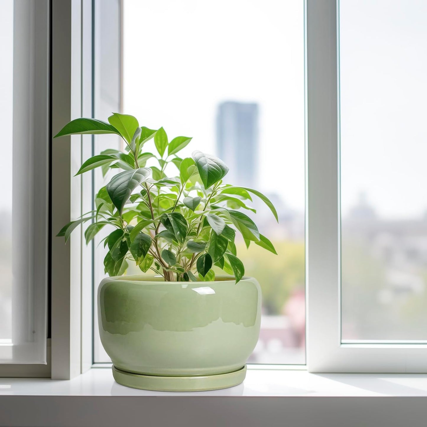 SQOWL Ceramic Planter - 10 Inch Pot for Plants Indoor Outdoor, Round Modern Flower Pot with Drainage Hole and Saucer, Decorative Large Planter, Office Decor, Plant Lovers Gifts, Green