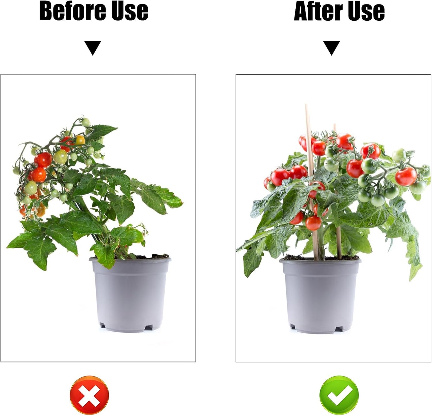 AccEncyc 50 Pcs Large Plant Clips Orchid Clips Plant Orchid Support Clips Flower Vine Clips for Supporting Stems Vines Stalks Climbing Plants Grow Upright