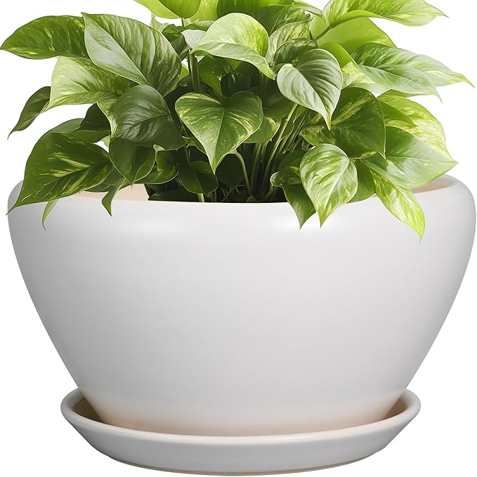 Ceramic Planter - 9 Inch Plant Pot Indoor with Drainage Hole and Saucer for Outdoor Plants Mid-Century Round Planter Modern Flower Pot for House Garden White