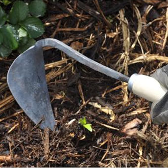 Premium Forged Gardening Hand Plow Hoe, Korean Daejanggan Style Ho-Mi(Weeding Sickle) for EZ Digger Tools 1 Pack