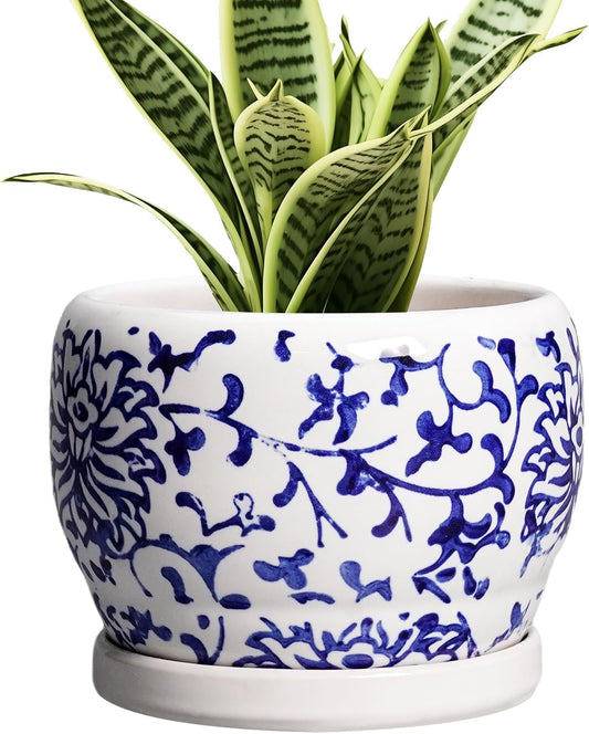SQOWL 6 Inch Planter - Ceramic Plant Pots Indoor with Drainage Hole and Saucer, Round Ceramic Flower Pot Outdoor, Porcelain Decorative Planter, Backyard Decor, Gifts for Plant Lovers, Blue and White