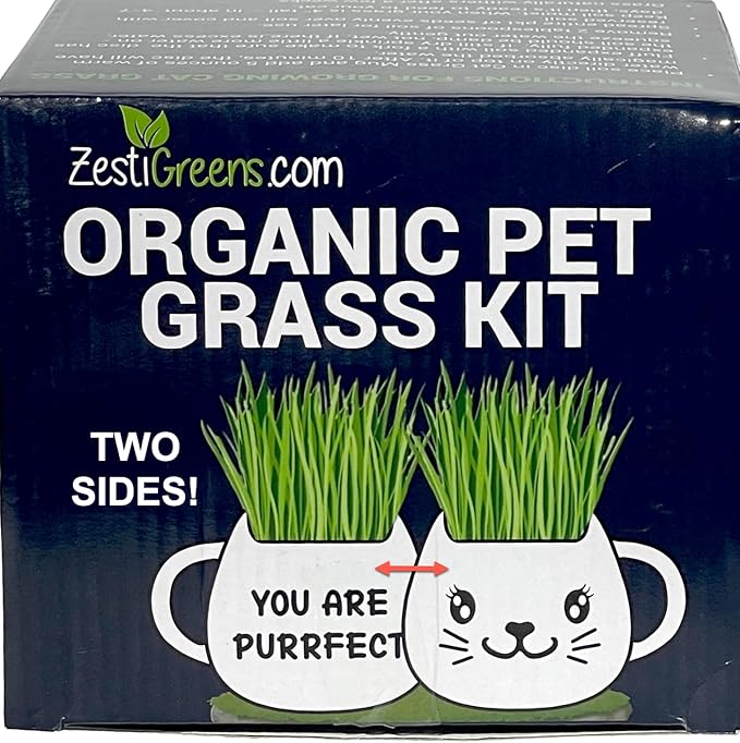 Organic Cat Grass Growing Kit - Promotes Natural Hairball Control and Digestive Wellness - Includes Organic Seed Mix, Nutrient-Rich Soil, and Stylish White Cat Planter