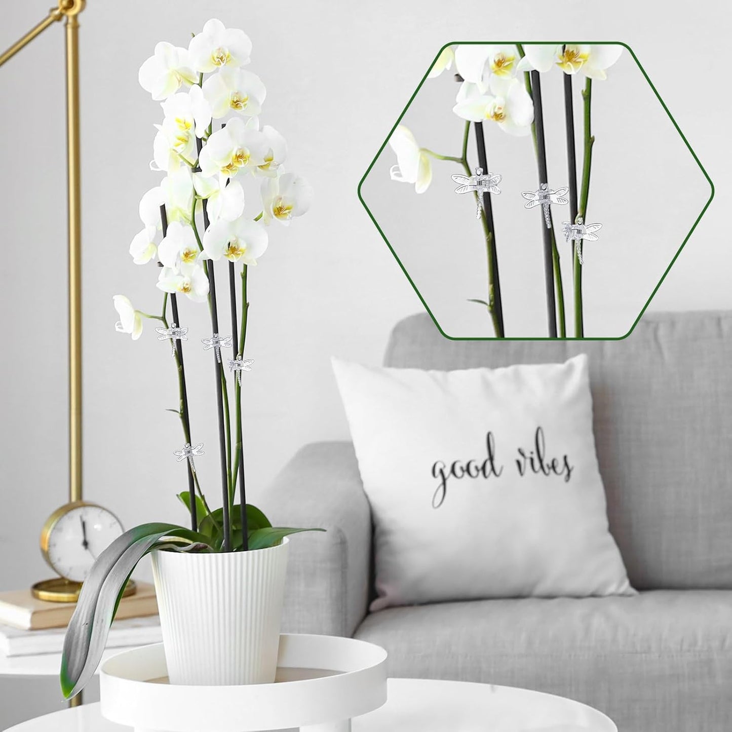 Wenqik 100 Pcs Orchid Clips Dragonfly Plant Clips for Plants Support, Portable Plastic Clear Garden Plant Support Clips Vine Clips for Orchid Climbing Plants