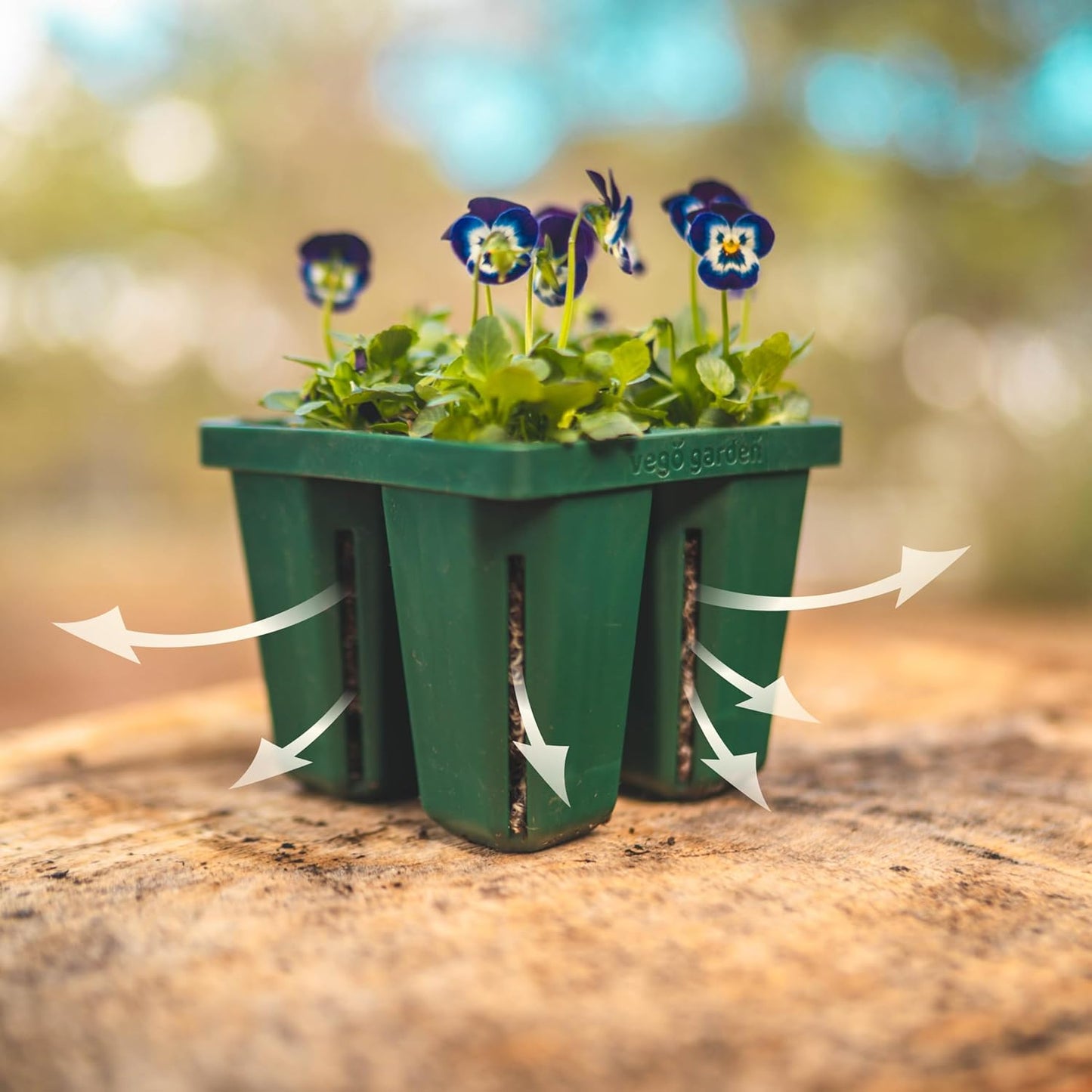 Vego garden Seedling Suite Products, 8 Pack Jumbo Seedling Trays with 10" x 20" Bottom Watering Trays