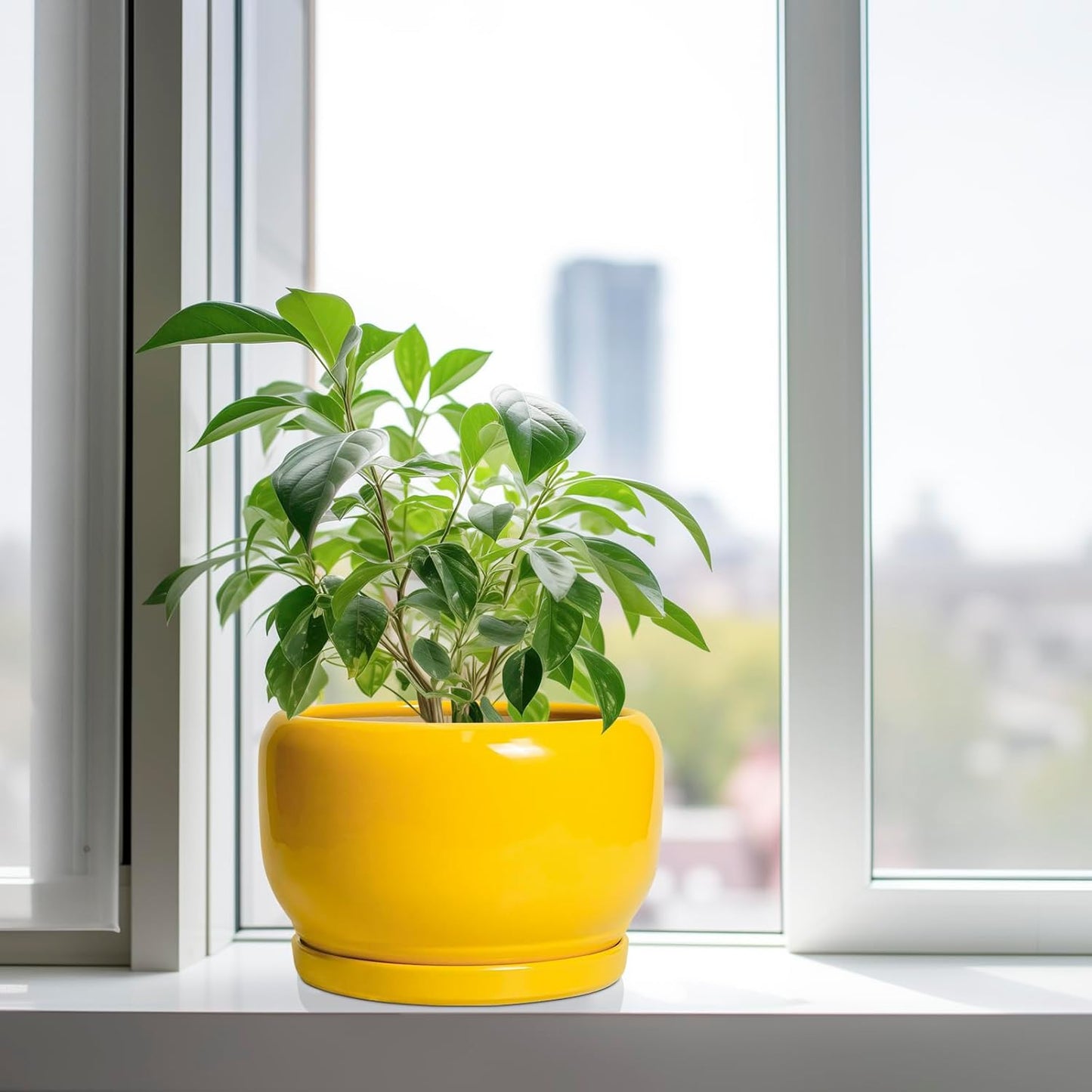 SQOWL 10 Inch Plant Pot - Ceramic Planter with Drainage Hole and Saucer, Modern Large Flower Pot for Indoor Outdoor Plants, Decorative Round Planter, Home Decor, Gifts for Gardeners Woman, Yellow