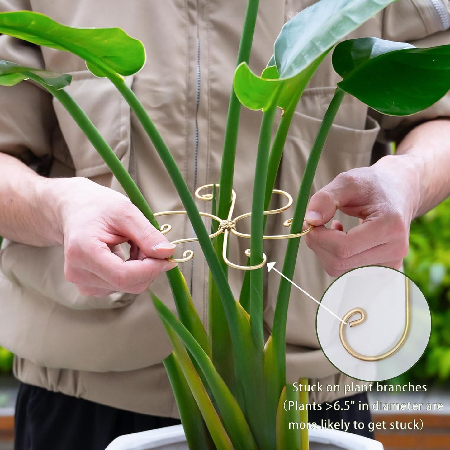6.5IN Monstera Plant Support Hook 5PCS Durable Stem Stabilizer for Indoor Plants | Easy Setup 5-Piece Set Ideal for Turtle Shell Leaf Support Ideal Present for Plant Lovers & Home Garden Décor