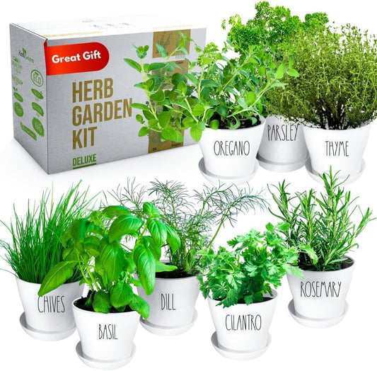 Deluxe Indoor & Outdoor Herb Garden Kit – 8 or The Most Popular Culinary Herbs with Pots & Soil for Windowsill or Patio Growing