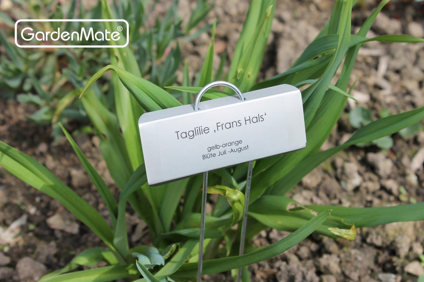 GardenMate 100-Pack Weatherproof Large Zinc Metal Plant Labels, Height 11.5", Label Area 3 1/2 x 1 1/4"