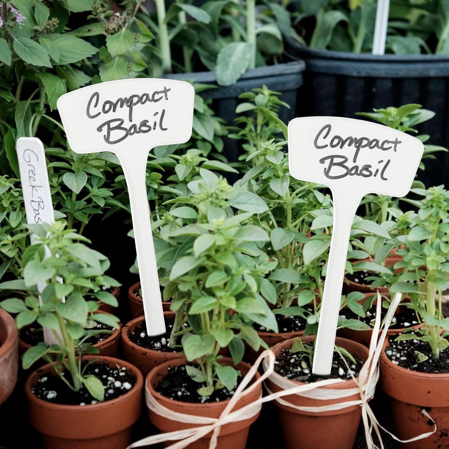 100 Pcs Plant Labels,T-Type 10.63inch Large Plastic Plant Tags Waterproof Plant Makers Nursery Garden Labels for Outdoor Indoor Plants Herbs Flowers Vegetable Potted Belt Marker Pen (White)