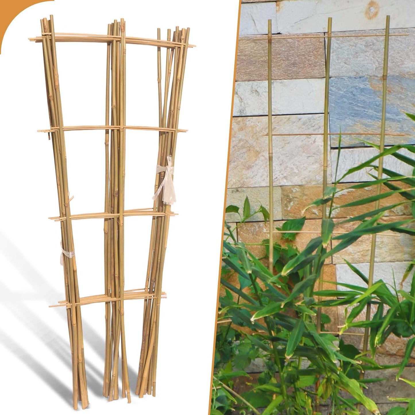 10 Pack 3ft Bamboo Trellis for Climbing Plants-Natural Garden Ladder Trellis, Fan -Shaped Support Trellis for Potted Plant Decor in Door