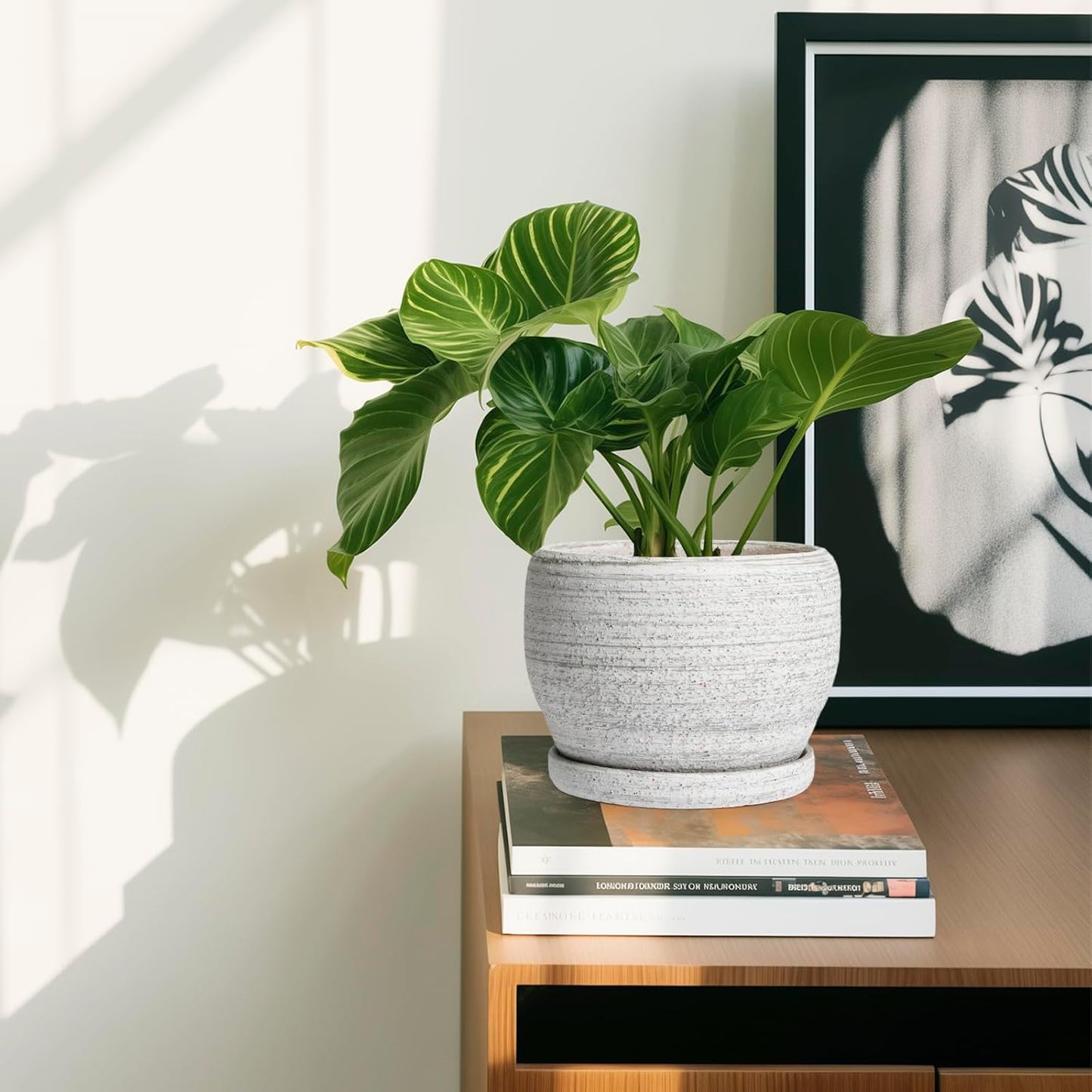 SQOWL Ceramic Planters for Indoor Plants - 6 Inch Plant Pot with Drainage Hole and Saucer, Small Ceramic Flower Pot, Round Decorative Planter Outdoor, Living Room Decor, Garden Gifts for Women, Gray