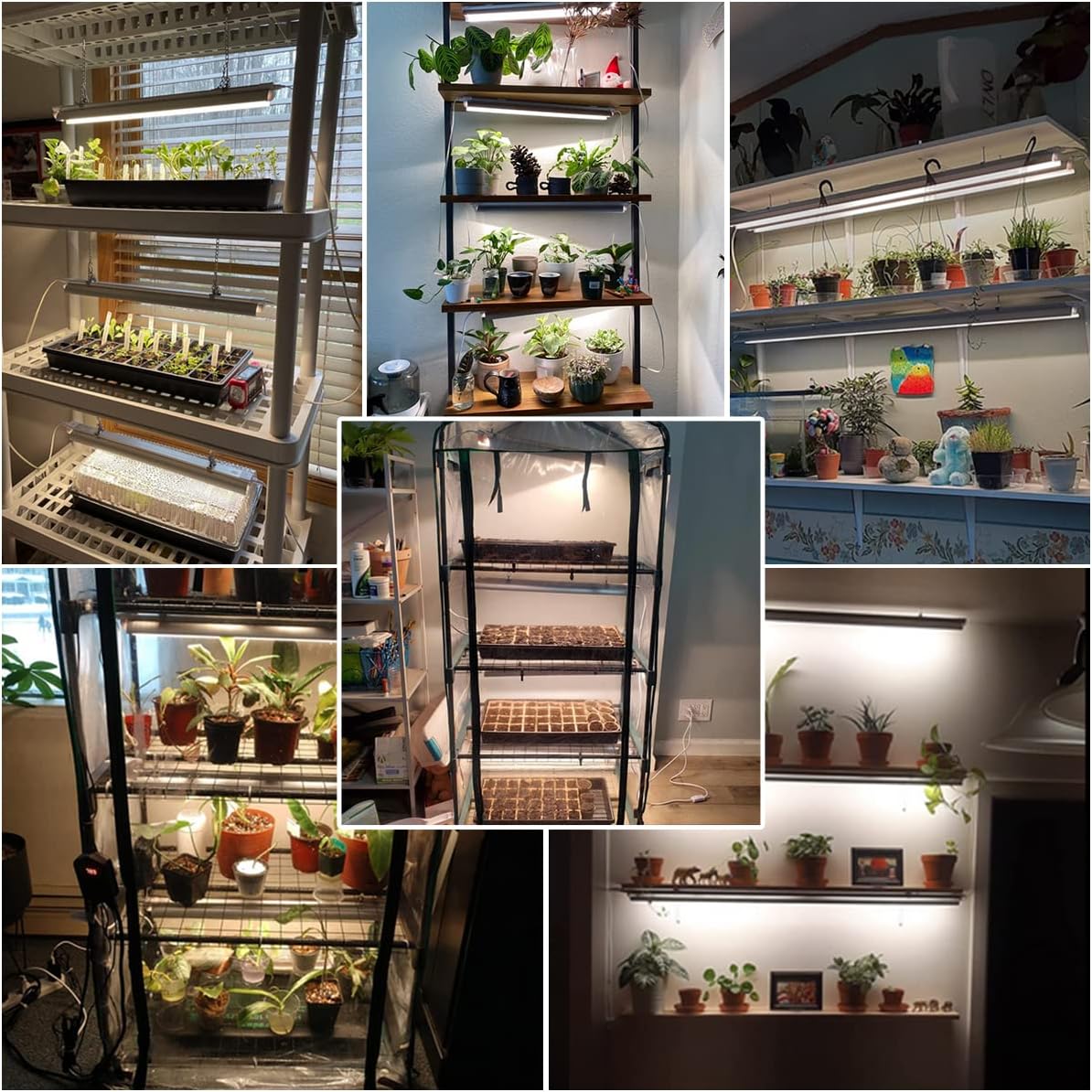 T5 Grow Lights 2 Pack, 1.4Ft 5000K White Full Spectrum LED Plant Growing Lamp Strips for Indoor Plants, Seeds Starting, Succulents, High PPFD with V-Shaped Reflector