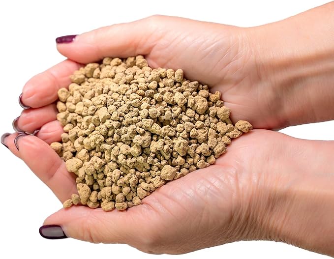 Japanese Hyuga Pumice - 10 Quart - Premium Additive for Orchid & Bonsai Tree Soil |Professional Imported Sifted and Ready to Use (2 Bags of 5 Quart)