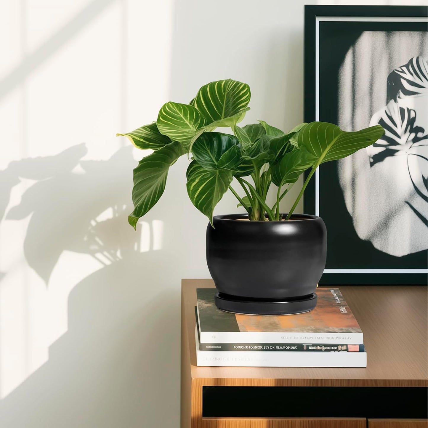 SQOWL Ceramic Plant Pot - 6 Inch Planter for Indoor Plants, Round Flower Pot with Drainage Hole and Saucer, Modern Succulent Planter Outdoor, House Decor, Plant Lovers Gifts, Black