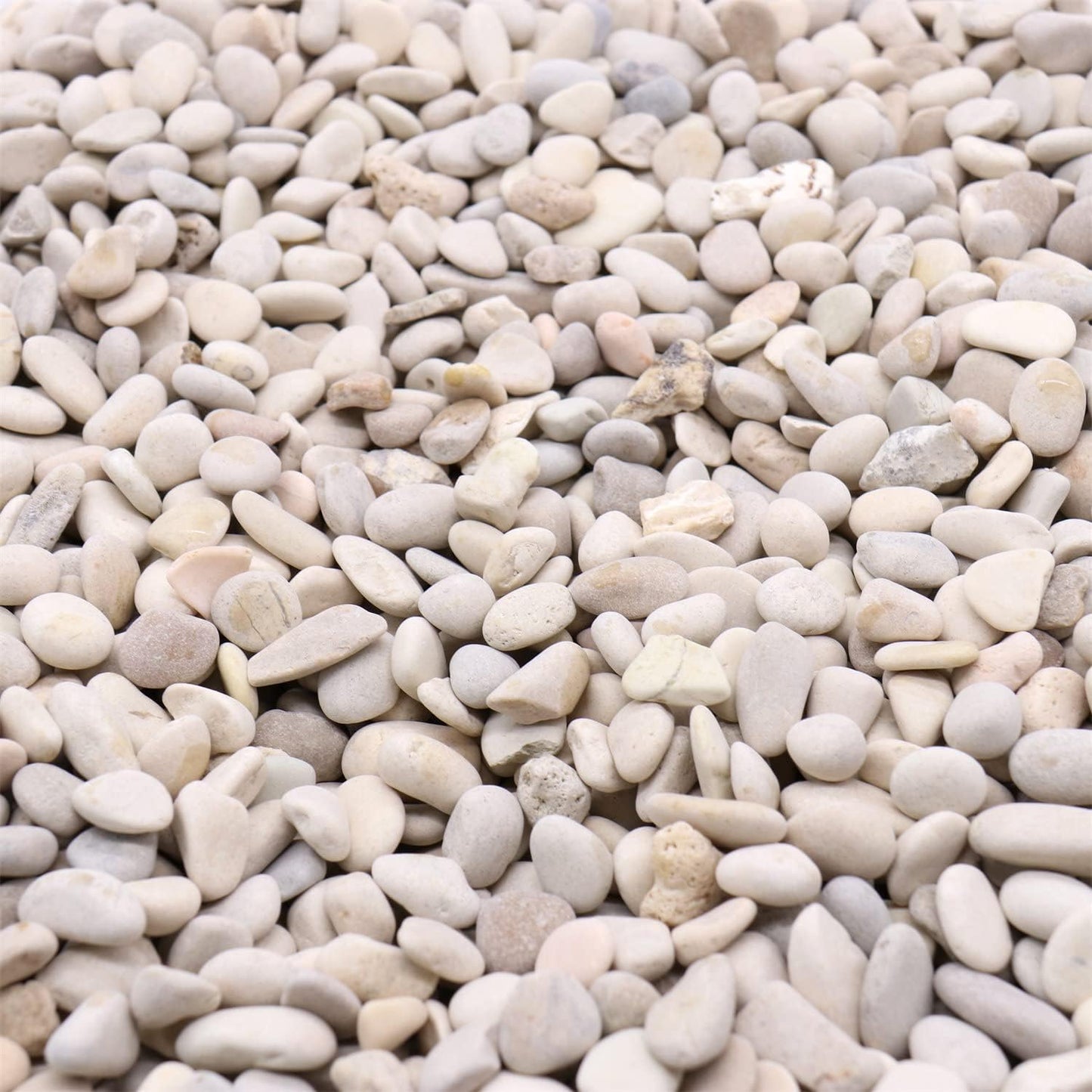 Rocks - Cream White Decorative Pebbles, 3/8 Inch - 10 lbs. Landscaping and Garden Stones, Suitable for Succulents and Pots