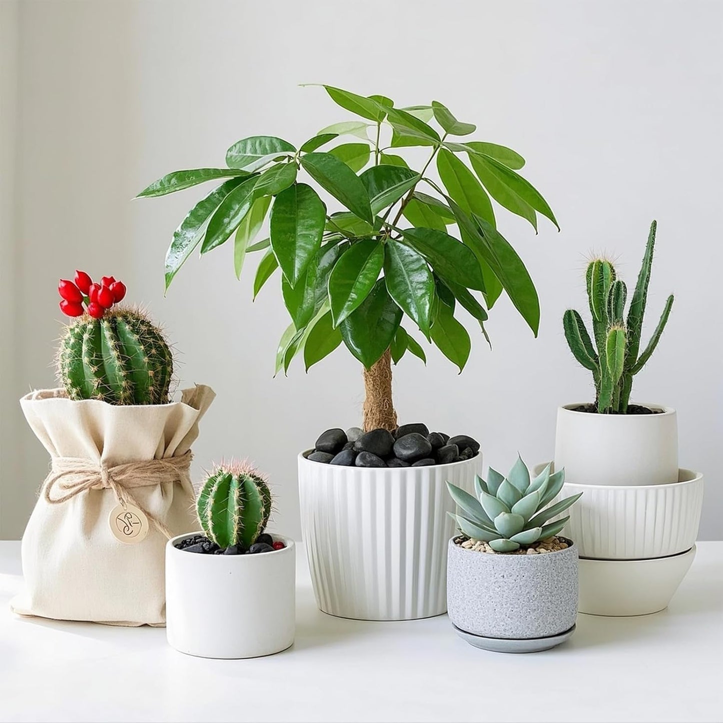 River Rocks, 5lbs Black Pebbles for Indoor Plants, 1-2 Inch Aquarium Rocks, Natural Stones for Landscaping Garden Paving Plant Rocks Crafting Walkways