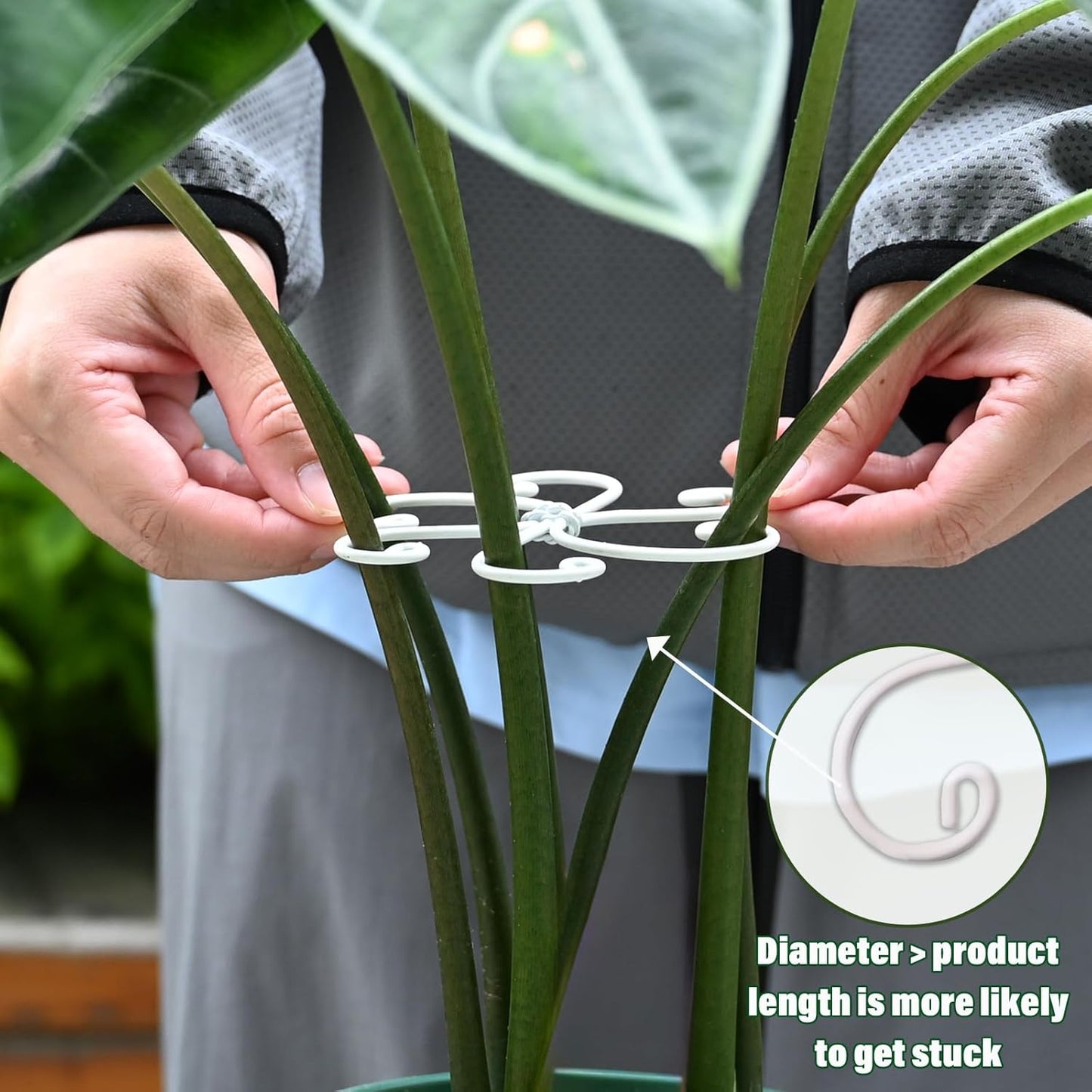 5PCS Monstera Plant Support Hook White 4.1 * 4.1 Inch – Set of 5 Durable Metal Stem Stabilizer Clips & Soft Grip Leaf Holders for Healthy Growth of Monstera & Fishbone Cactus