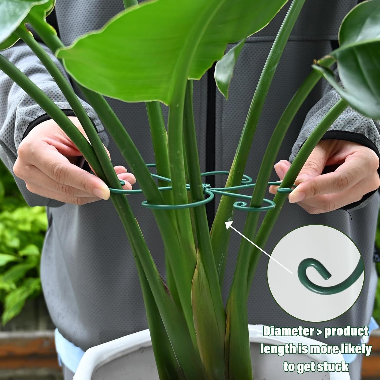 Monstera Plant Stem Support - 5 Pack 6.5"x6.5" Green Metal Stem Stabilizers, Adjustable Ring Clamps for Indoor Plants, Fishbone Cactus, Turtle Shell Bamboo & Climbing Vines