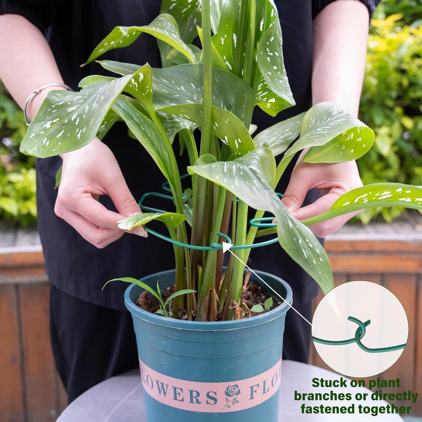 5PCS Monstera Plant Stem Support 7.3*6.25IN Adjustable Holder for Indoor Plants, Durable Metal Structure with Gentle Clips, Perfect for Fishbone Cactus & Climbing Plants, Ideal Gardening Gift