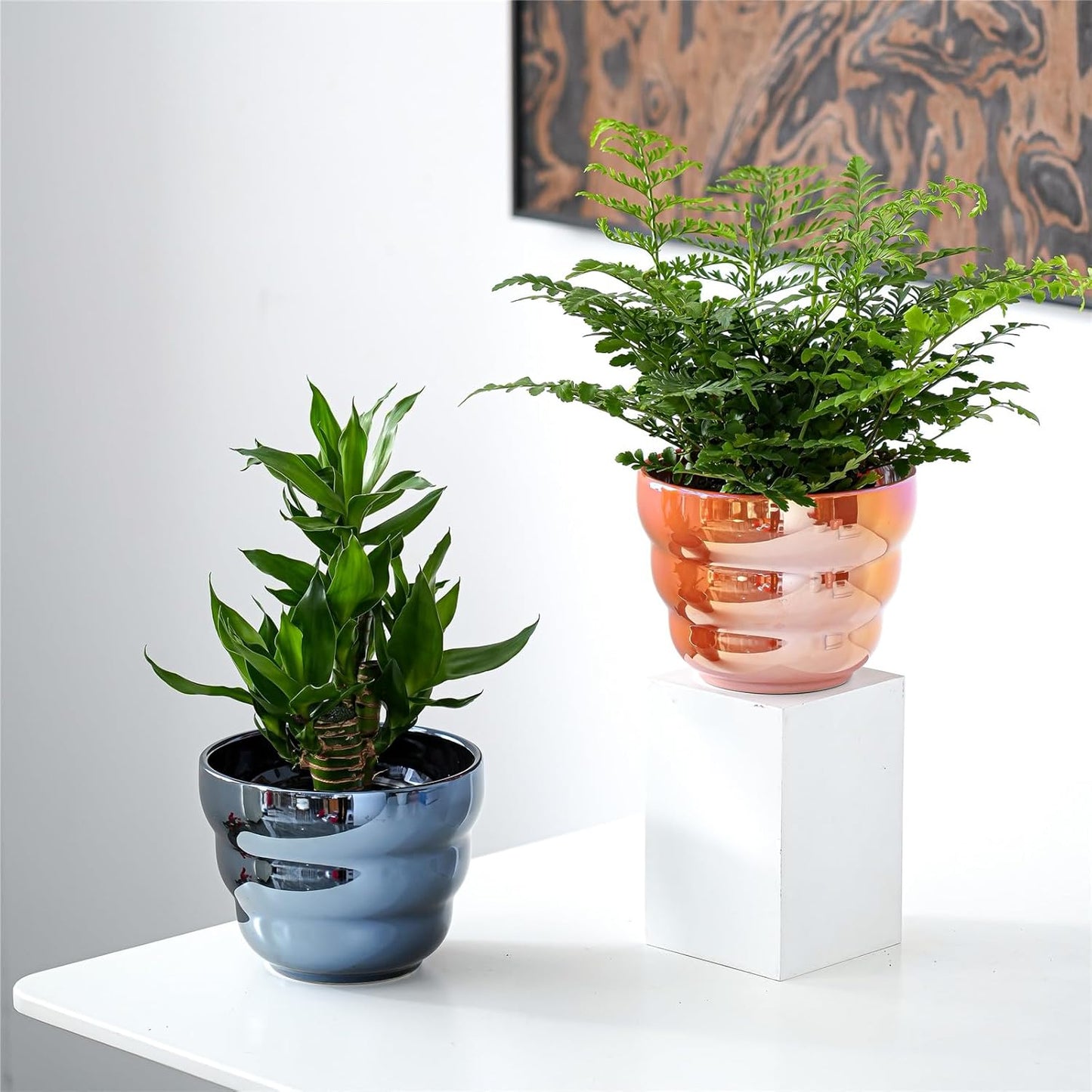 Plant Pots Indoor, 6 Inch Ceramic Rainbow Pearl Glaze Planters with Drainage Hole, Set of 2 Flower Pots for Succulents Cactus Orchid, Black and Orange