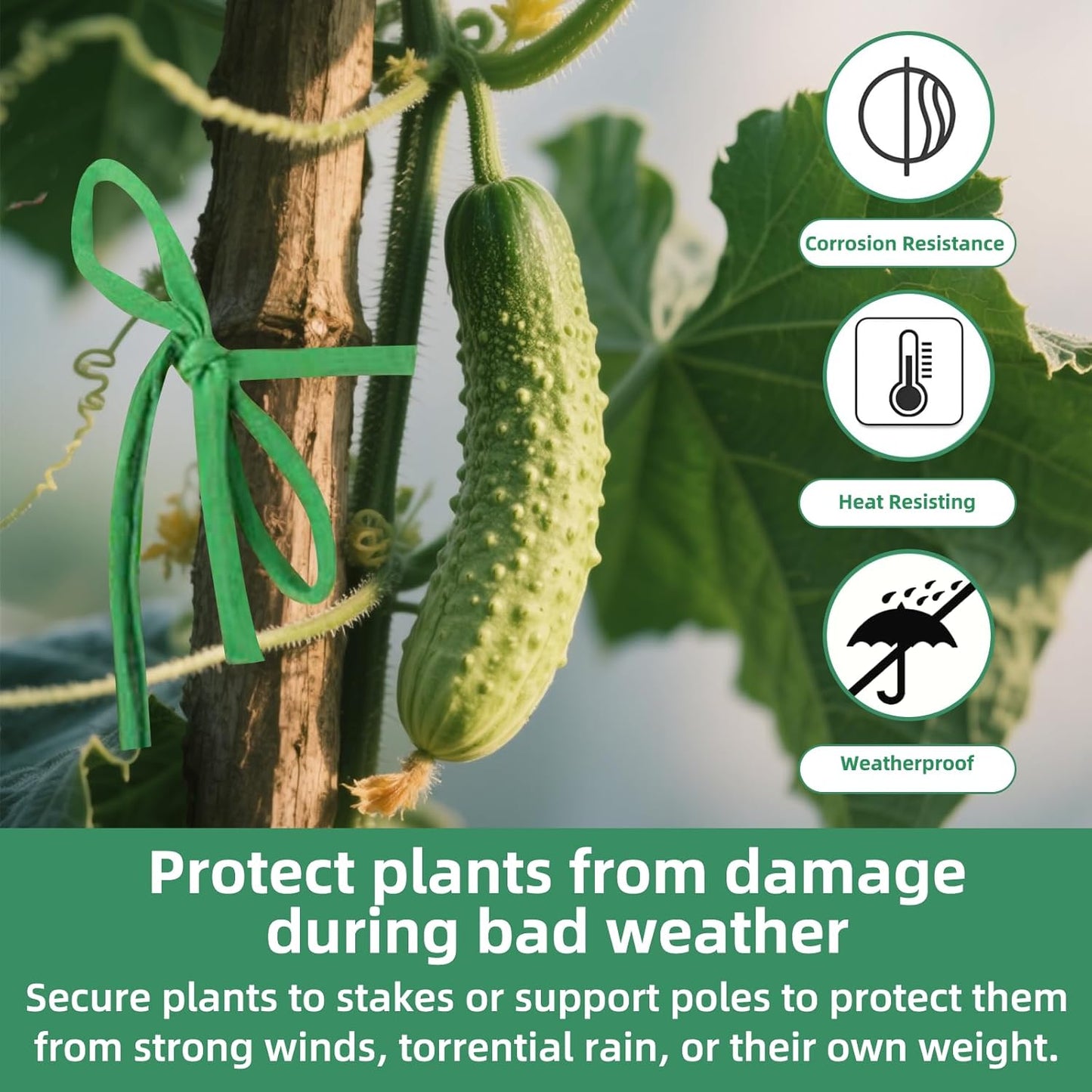 2 Packs Garden Twine, 196Ft Soft Garden String Green, Stretchy Plant Ties for Supporting and Tying Climbing Plants, Outdoor Plants, Tomatoes, Fruit Trees, Gardeners(98 Feet/Roll)