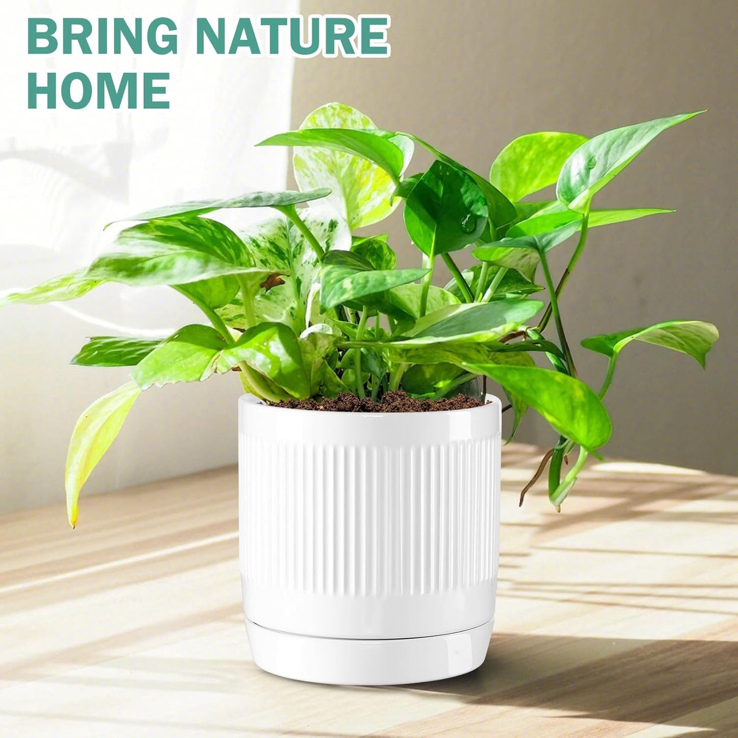 Vanavazon Ceramic Planter Pots for Indoor Plants with Drainage Hole and Saucer,6 Inch Cylinder Plant Pots,Glazed Finish Interior and Exterior,Set of 2 (White)