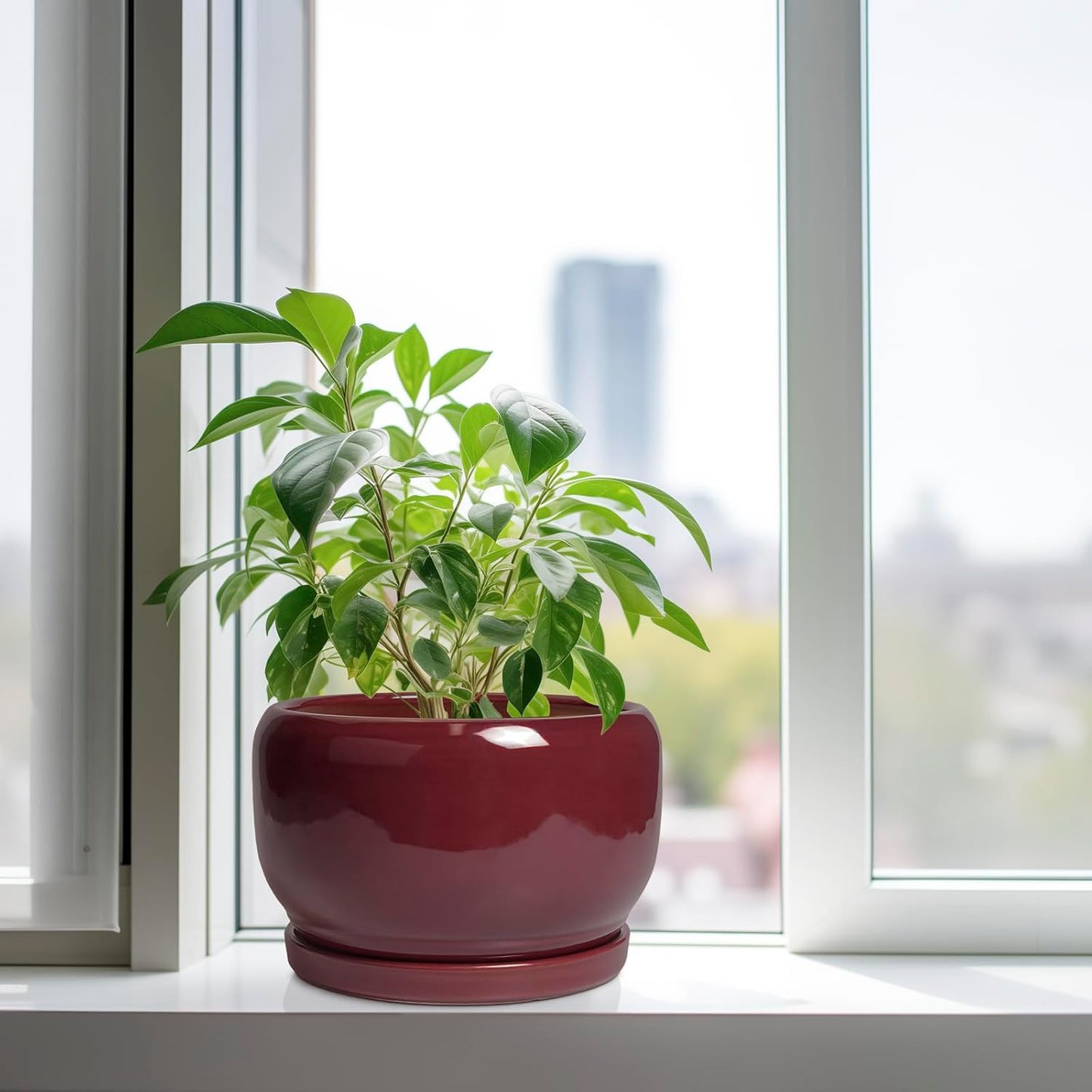 SQOWL Ceramic Pot for Plants - 10 Inch Indoor Planter with Drainage Hole and Saucer, Round Modern Planter Outdoor, Decorative Large Plant Pot for Flower, Living Room Decor, Garden Gifts, Red