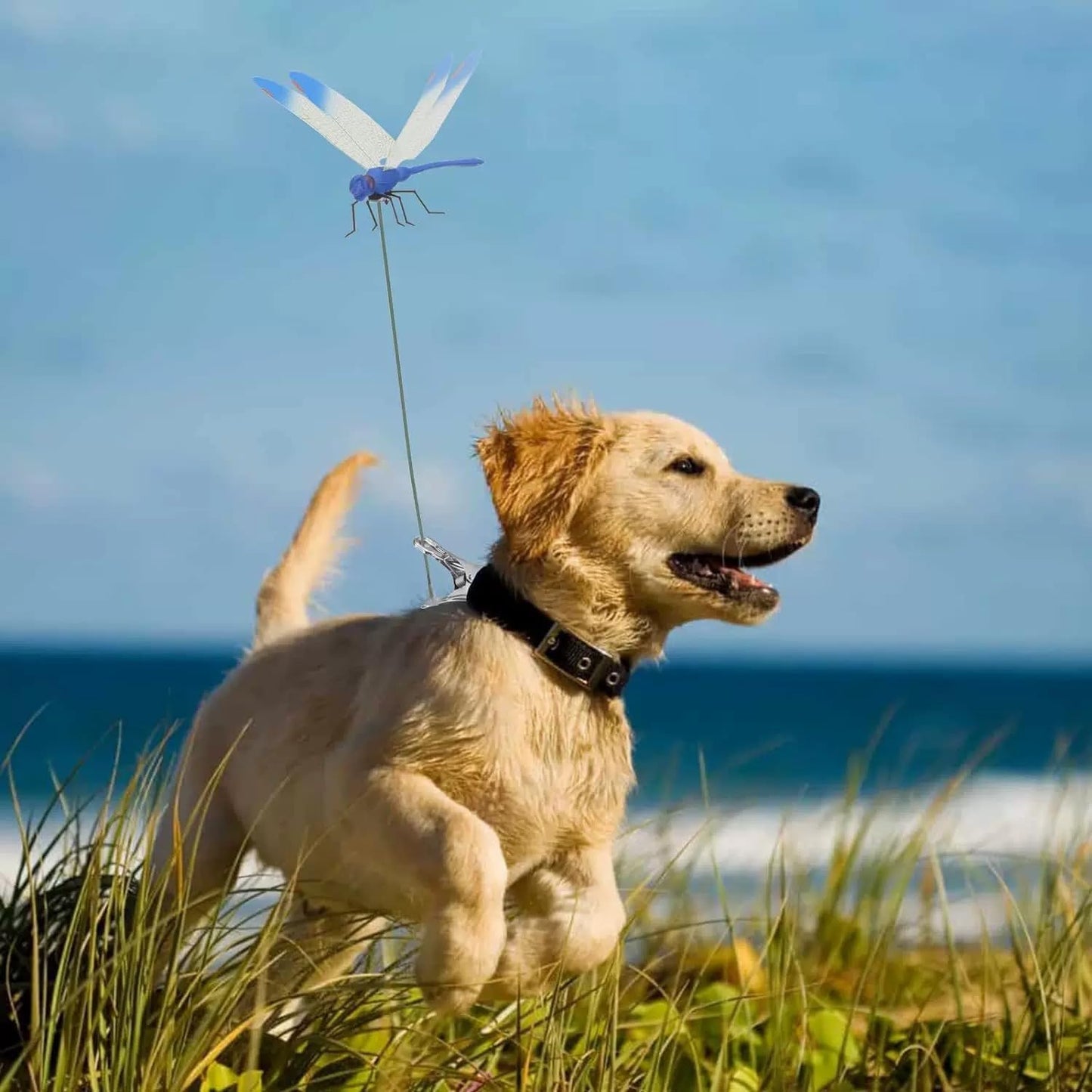 8pcs Dragonfly Hat Clip Realistic Fake Dragonflies Clip-On Garden Outdoor Decor Stakes Plastic Dragon Fly Clips Plant Decorations for Pots