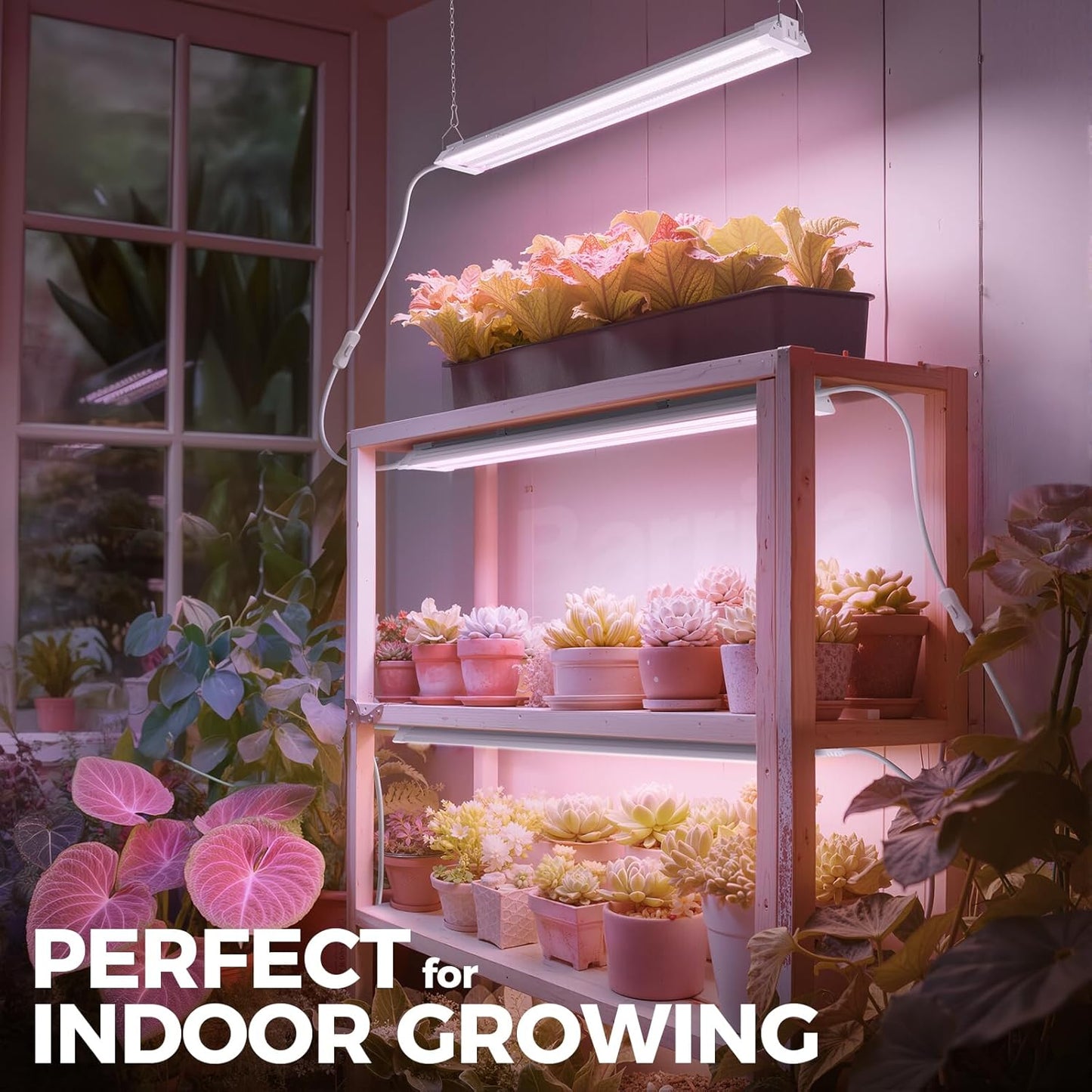 Barrina TX36 2FT LED Grow Light, 36W(200W Equivalent), High PPFD, Full Spectrum, Hanging Plant Lights for Indoor Growing, Grow Lights for Seed Starting, Vegetables with On/Off Switch, Linkable, 1 Pack