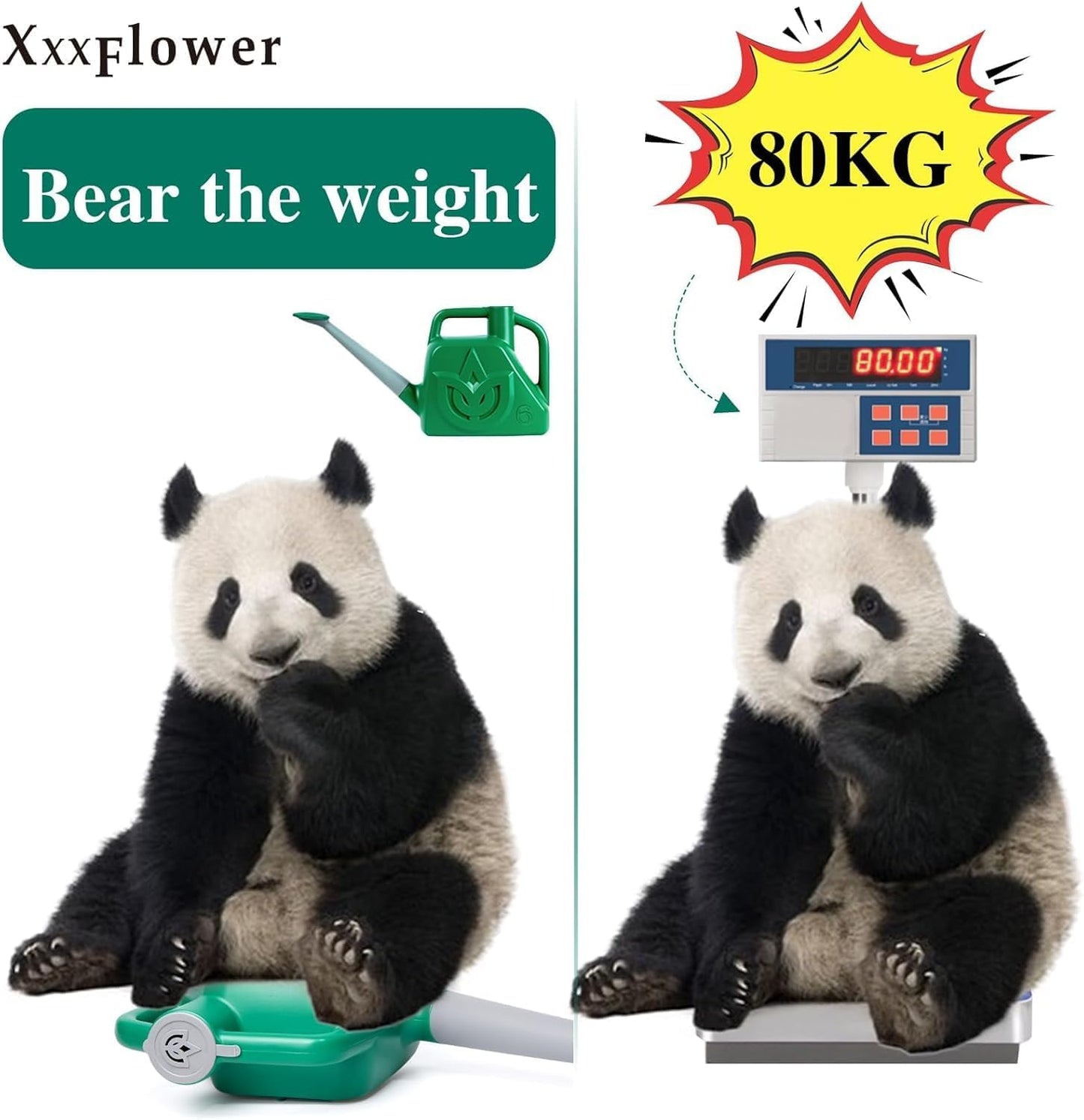 XXXFLOWER 1.5 Gallon Green Watering Can Outdoor Garden Flower Plant, Lightweight 6 L Water Cans with Detachable Nozzle Watering Pot for Office House Garden