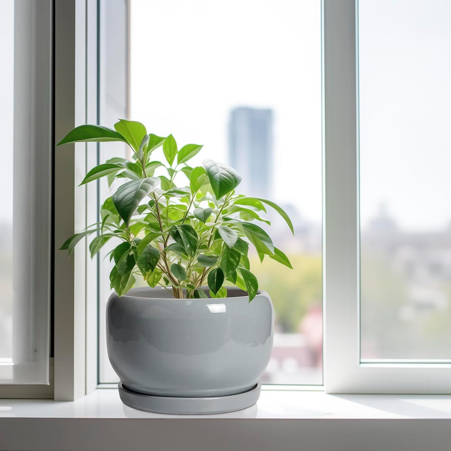 SQOWL 10 Inch Plant Pot - Ceramic Planter for Indoor Plants, Round Ceramic Flower Pot with Drainage Hole and Saucer, Modern Large Outdoor Planter, Room Decor, Housewarming Gifts, Gray