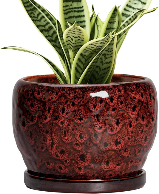 SQOWL Ceramic Pot for Plants - 6 Inch Plant Pot Indoor with Drainage Hole and Saucer, Decorative Flower Pot Outdoor, Round Succulent Planter, Front Porch Decor, House Warming Gifts New Home, Red
