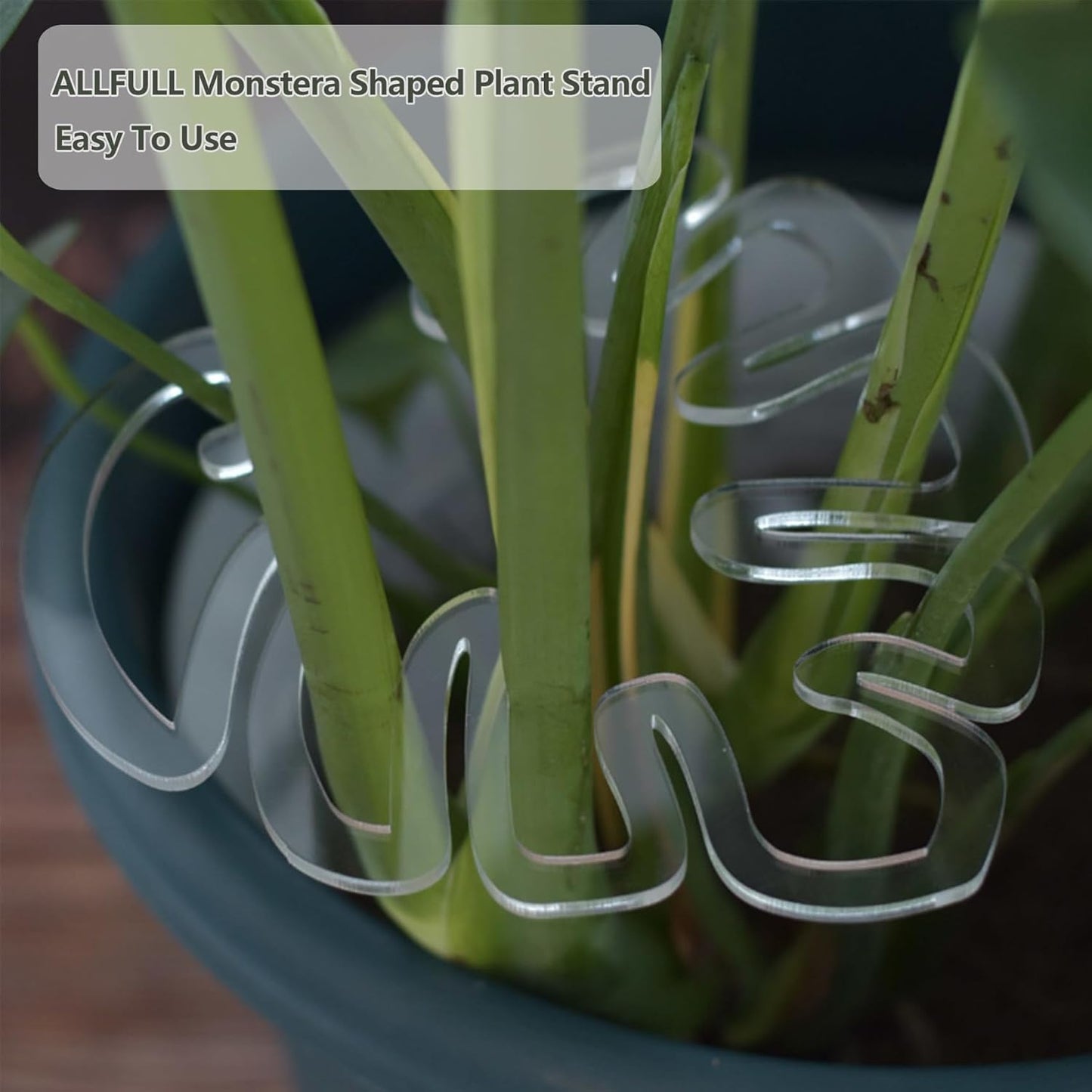 2PCS Plant Stem Support , Acrylic Monstera Stabilizer Grapple Holder Unique Design for Climbing Plants, Turtle Shell Bamboo Clamp Set, Ideal Plant Support for Thriving Growth Indoor Outdoor Plants