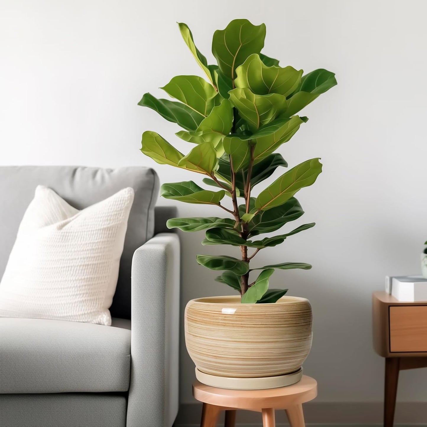 SQOWL Ceramic Plant Pot - 10 Inch Large Planter with Drainage Hole and Saucer, Round Modern Planter for Indoor Plant Outdoor, Decorative Ceramic Flower Pot, Porch Decor, Garden Gift for Women, Yellow