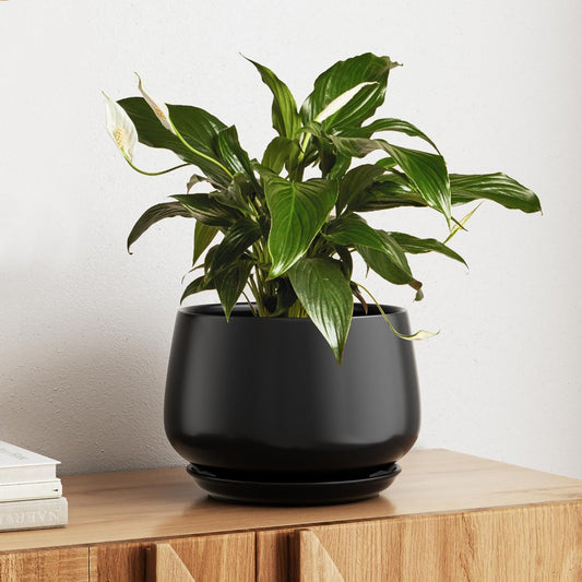 LE TAUCI Ceramic Planter, 10 Inch Plant Pot with Drainage Hole & Saucer – Durable Indoor Planter for Modern Home Decor, Black