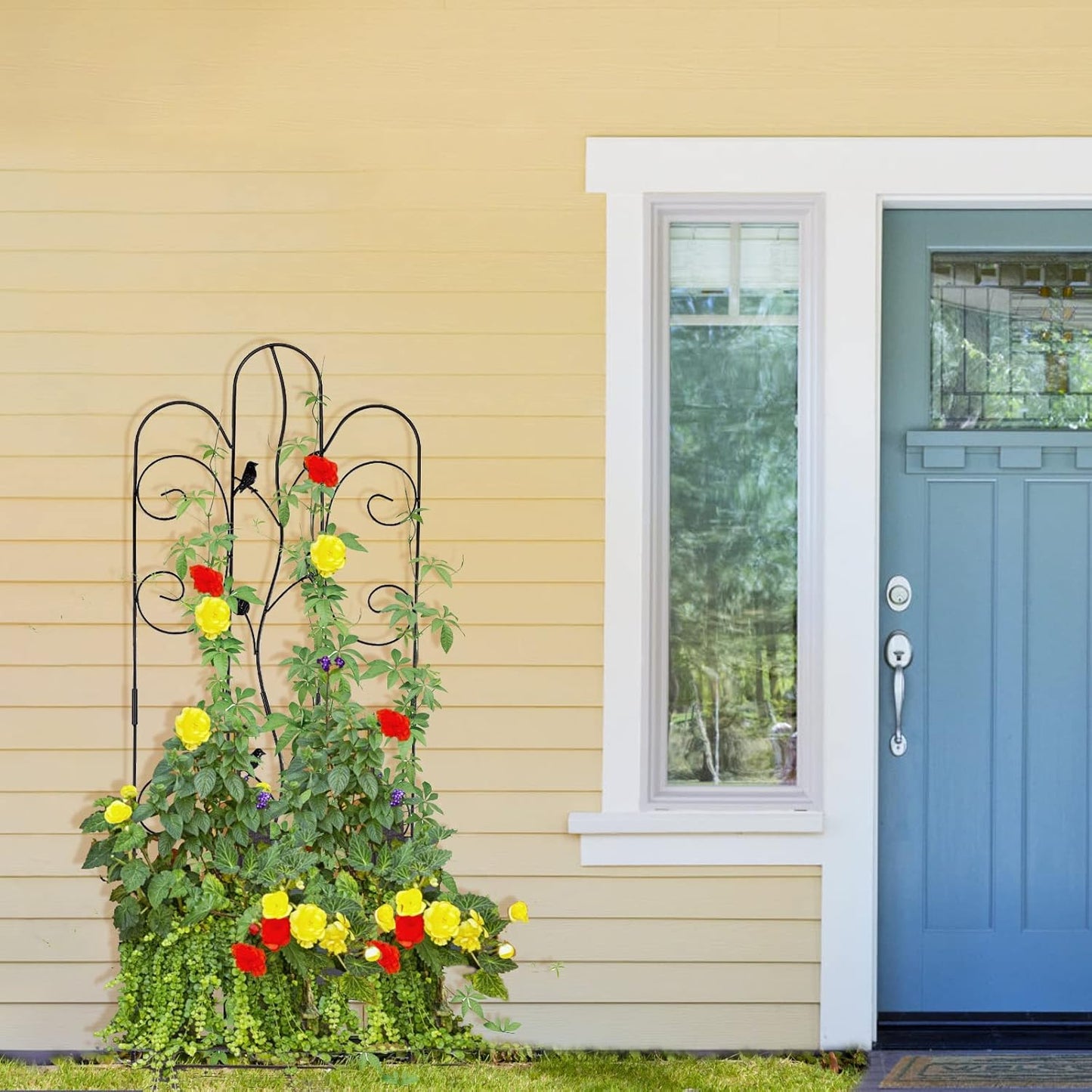 Metal Garden Trellis for Climbing Plants & Roses 61''x 18.5" Plants Support Rustproof Sturdy Leaves Garden Trellis for Vegetables Trellis for Potted Plants Pack of 2 - Black