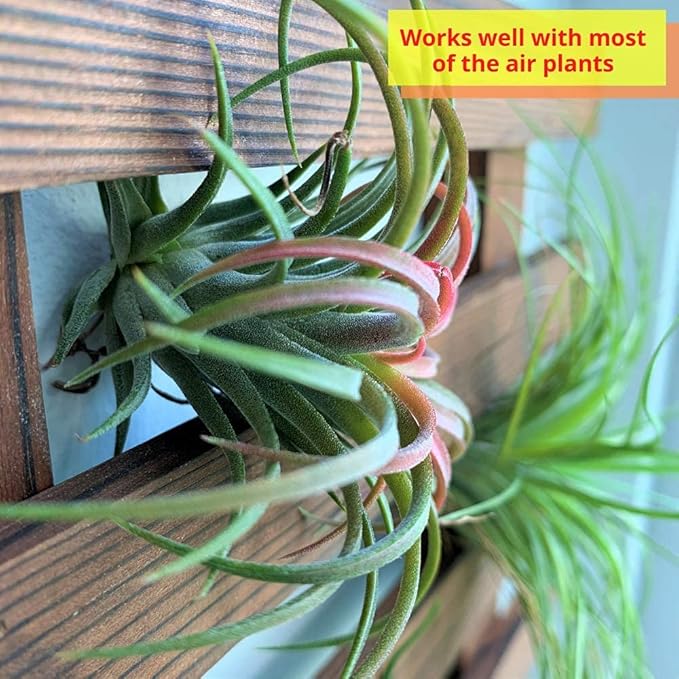 ShopLaLa Wall Planter – Wooden Air Plant Succulent Holder Hanger Indoor Outdoor, Live Orchid Wall Wood Display Frame Vertical Garden Balcony Deck Bathroom Macetas Para Plantas De Aire 15.7" (40cm)