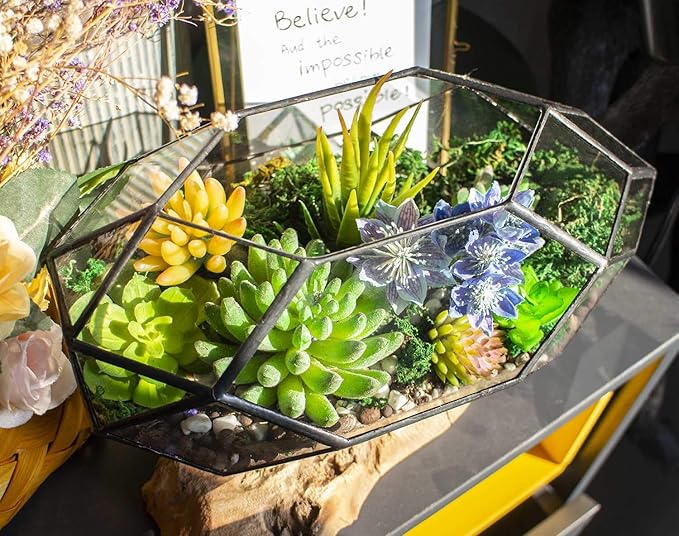 Ferrisland Handmade 10" Large Glass Terrarium Irregular Geometric Planter Indoor Air Plants Holder Window Balcony Display Succulent Flower Pot, Black