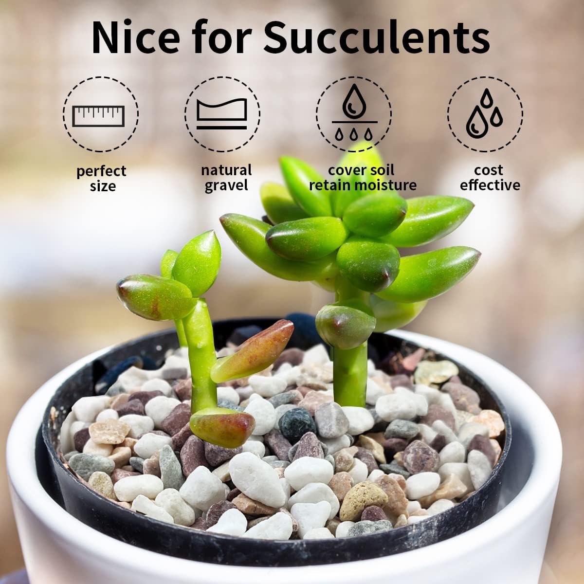 10 lbs Colorful Pebbles Pea Gravel for Landscaping, 3/8 Inch Decorative River Rocks for Plant Indoor Succulent Cactus Vase Garden and Plant Pots