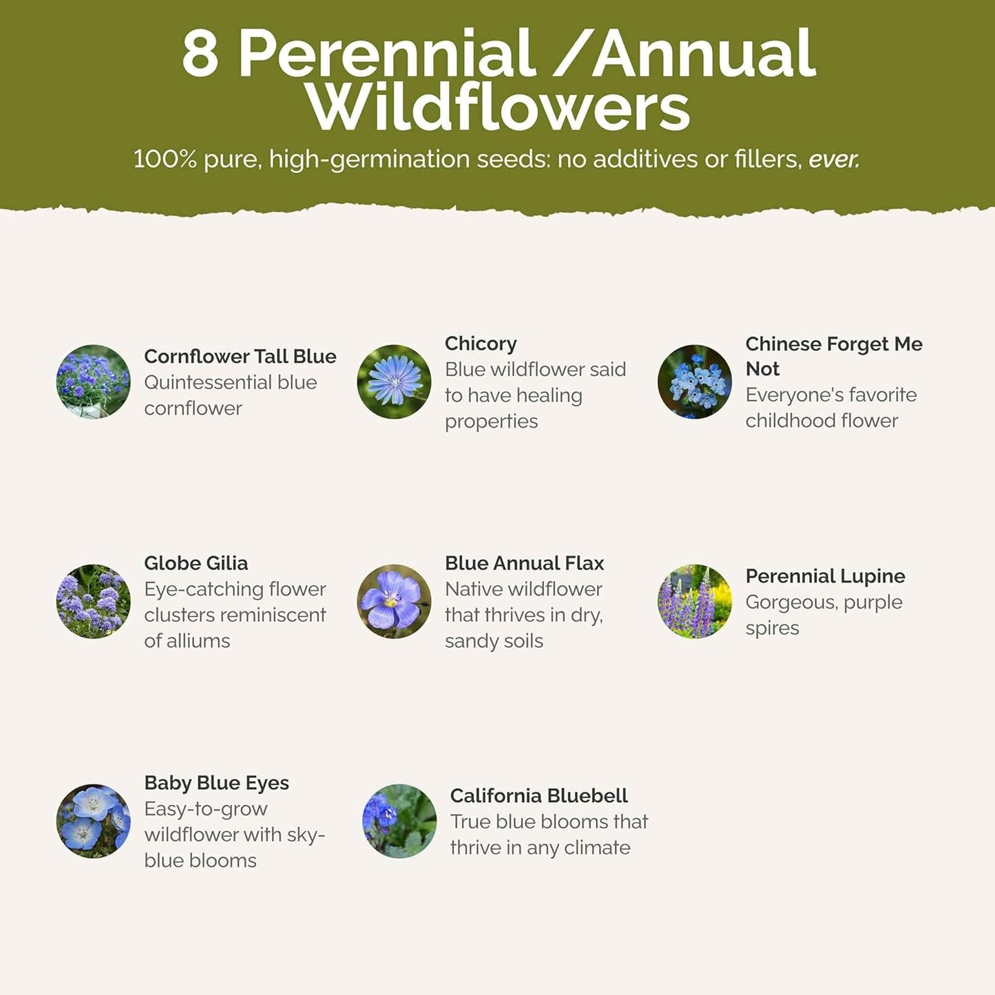 Eden Brothers Singin the Blues Wildflower Mixed Seeds for Planting, 1/4 lb, 120,000+ Seeds with Blue Flax, Lupine, Chicory, Attracts Pollinators, Plant in Spring or Fall, Zones 3, 4, 5, 6, 7, 8, 9, 10