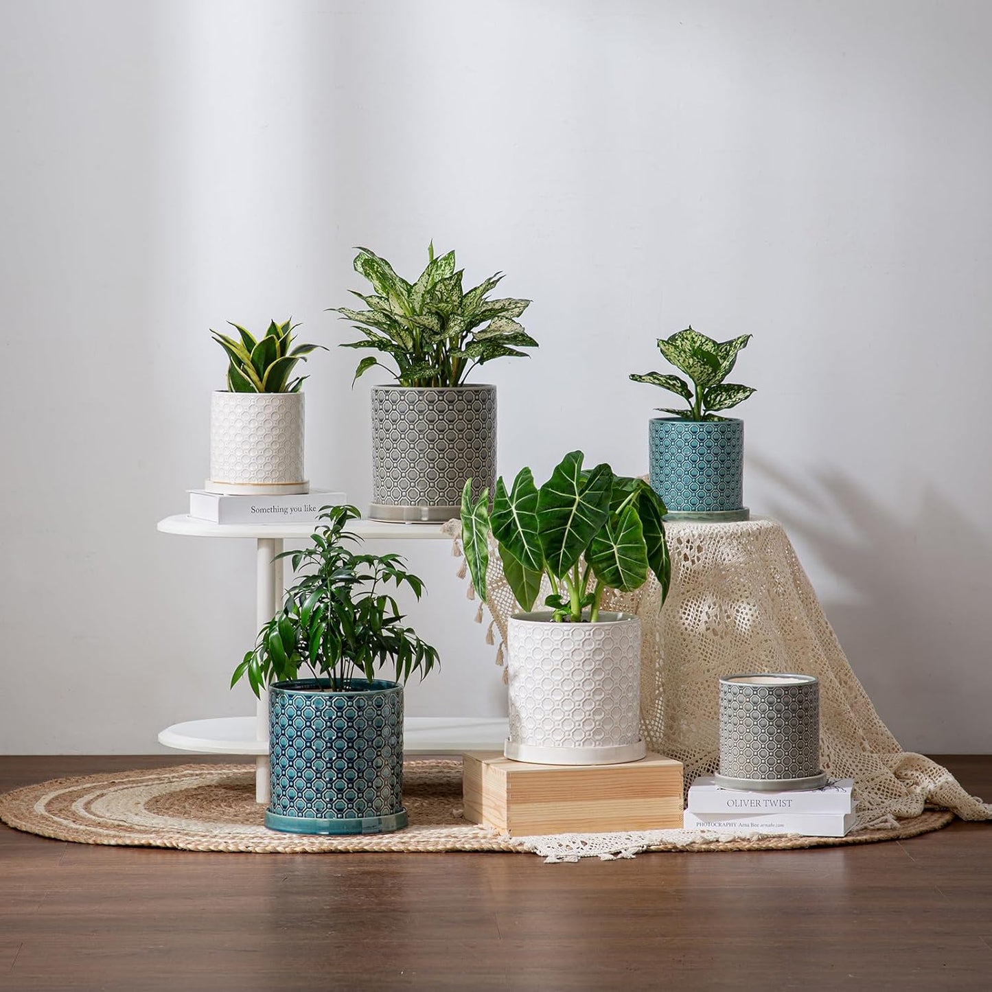 6 Inch Plant Pot: Ceramic Planter with Drainage Hole & Saucer Indoor Outdoor Plants - Cylinder Round Flower Pot for Home Office - Modern Decorative - Small White